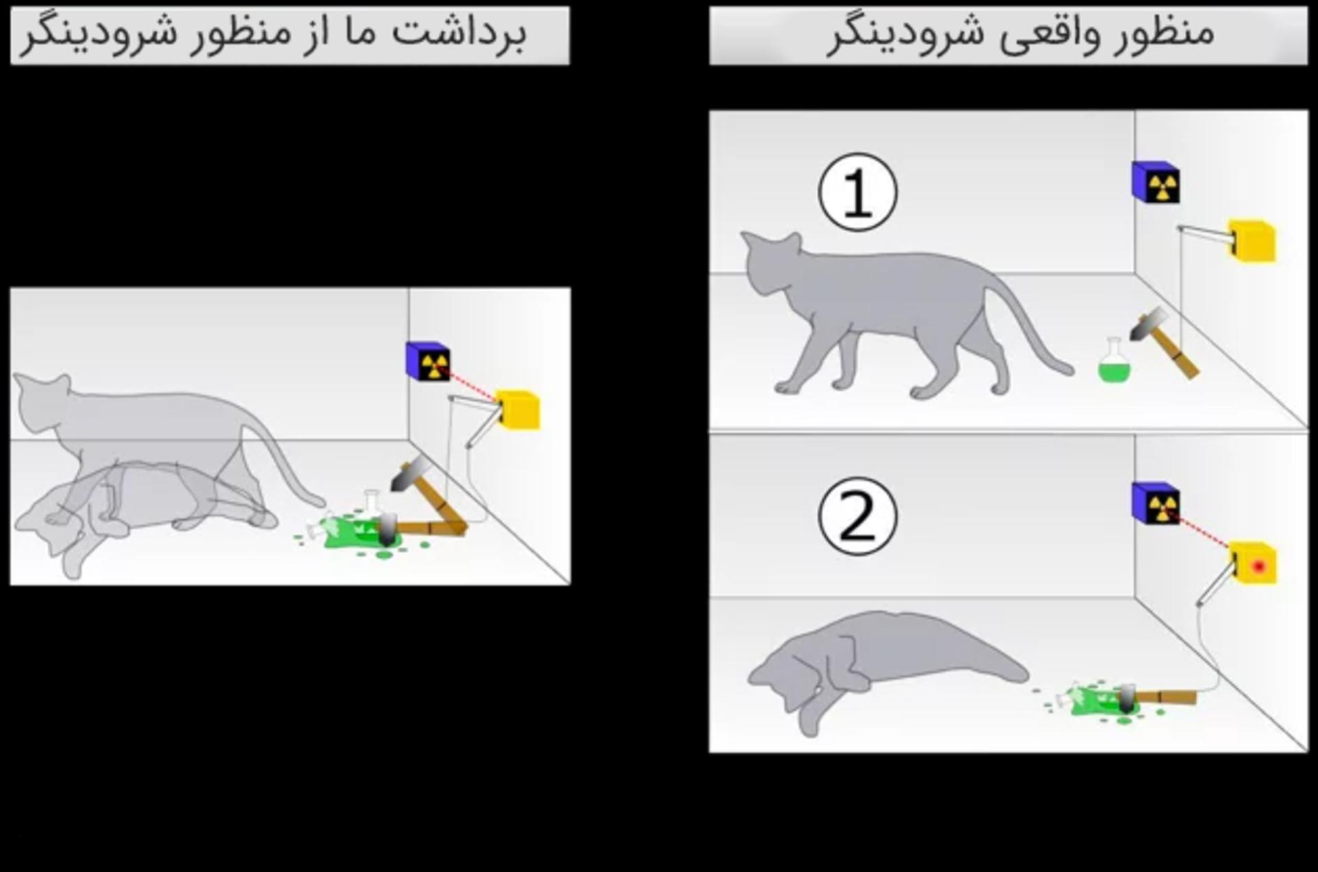 منظور واقعی شرودینگر و برداشت ما از آن