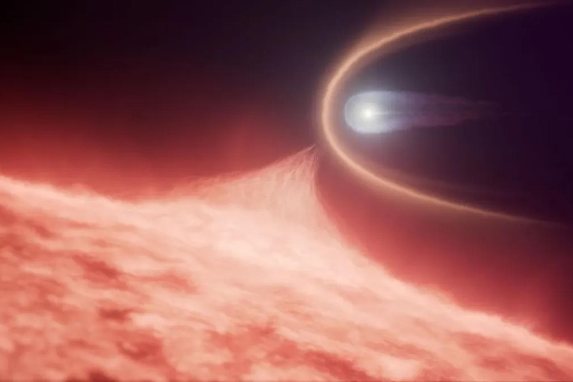 کوتوله سفید