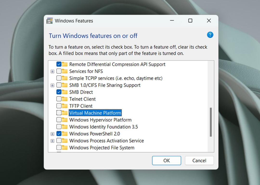 پنجره‌ی Windows Feature