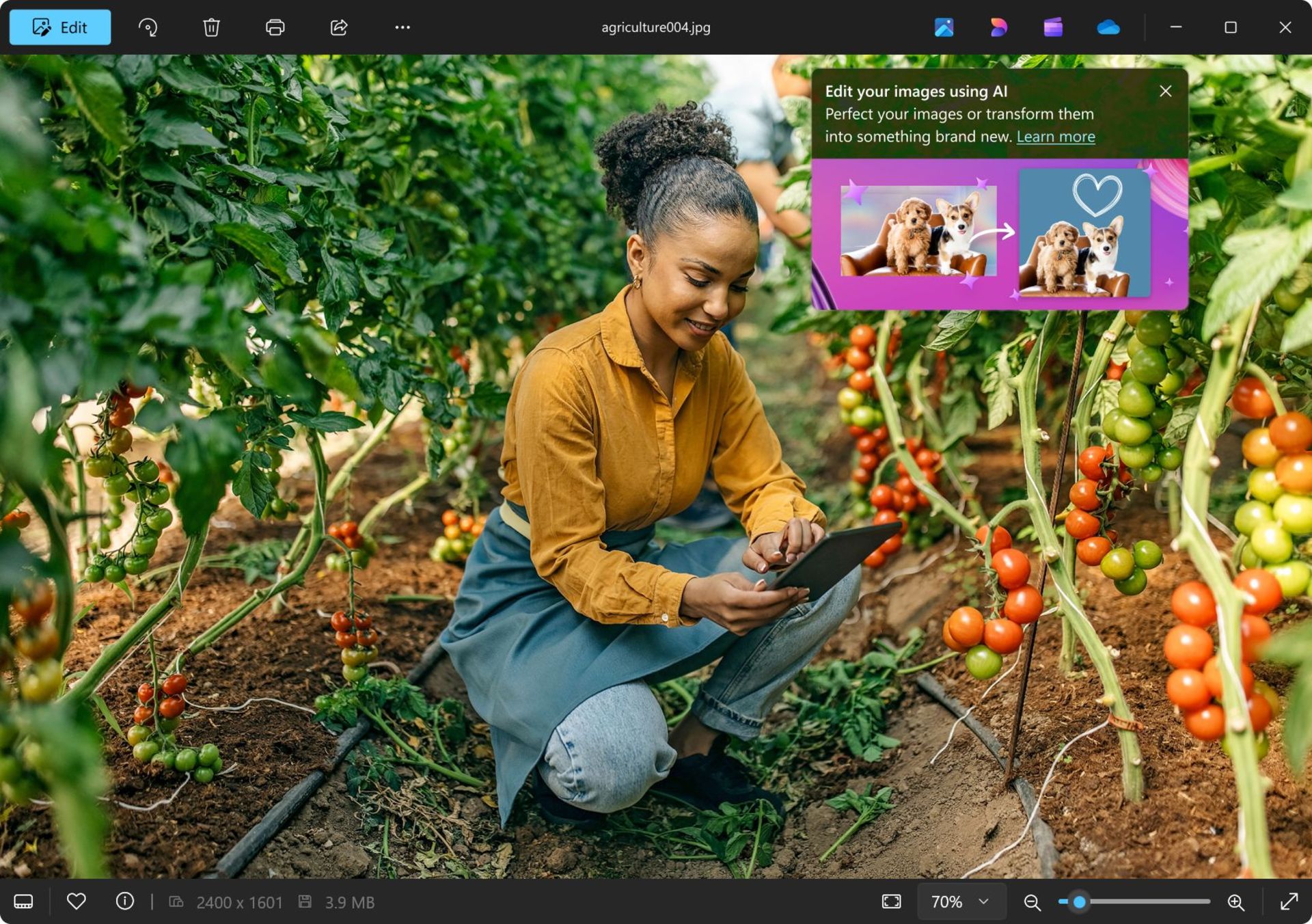 اپلیکیشن Windows Photos با قابلیت هوش مصنوعی
