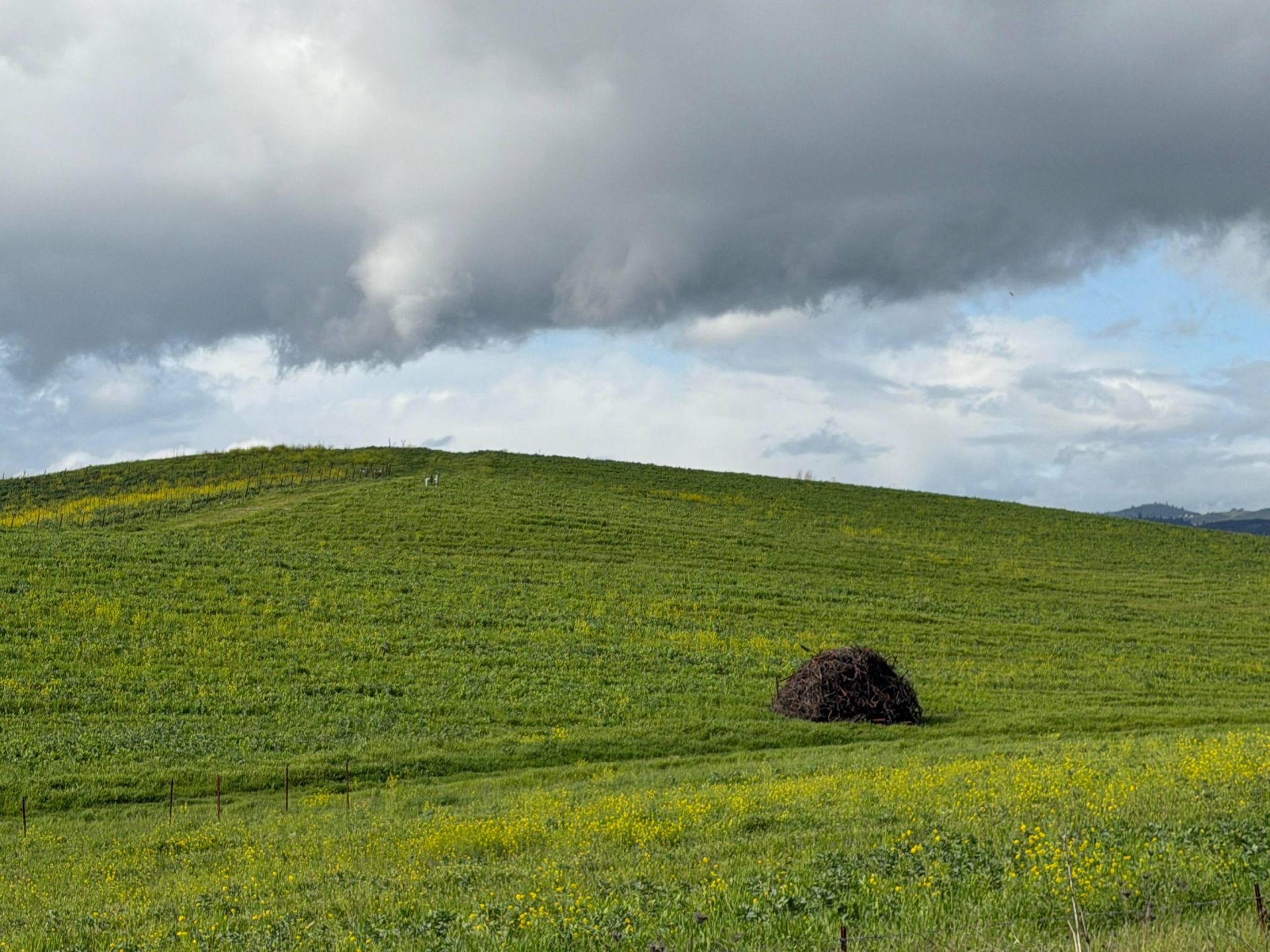 تصویر زمینه ویندوز ایکس پی ۳۰ سال بعد