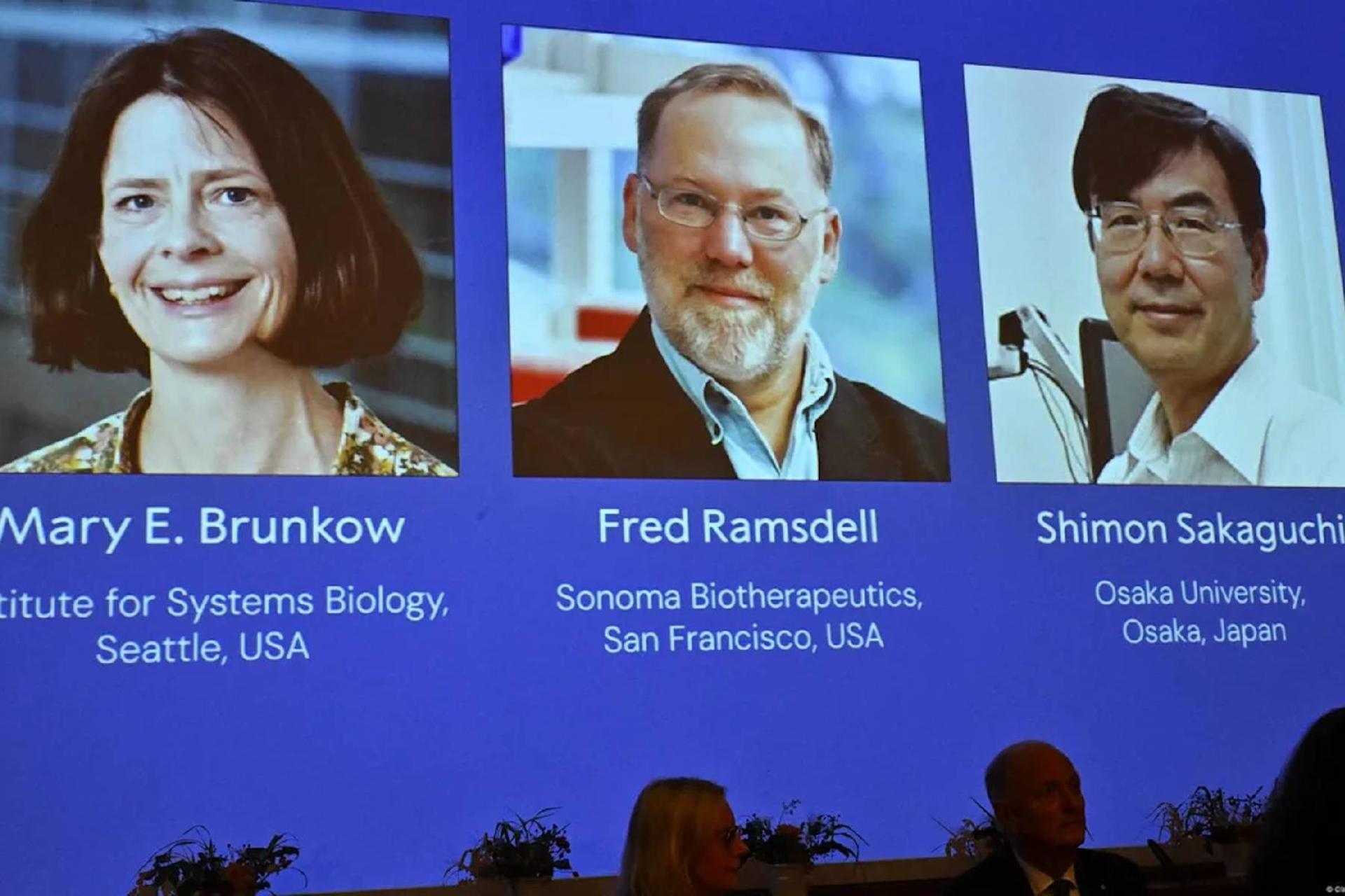 کاشفان سلول‌های نگهبان سیستم ایمنی، برنده جایزه نوبل پزشکی ۲۰۲۵ شدند