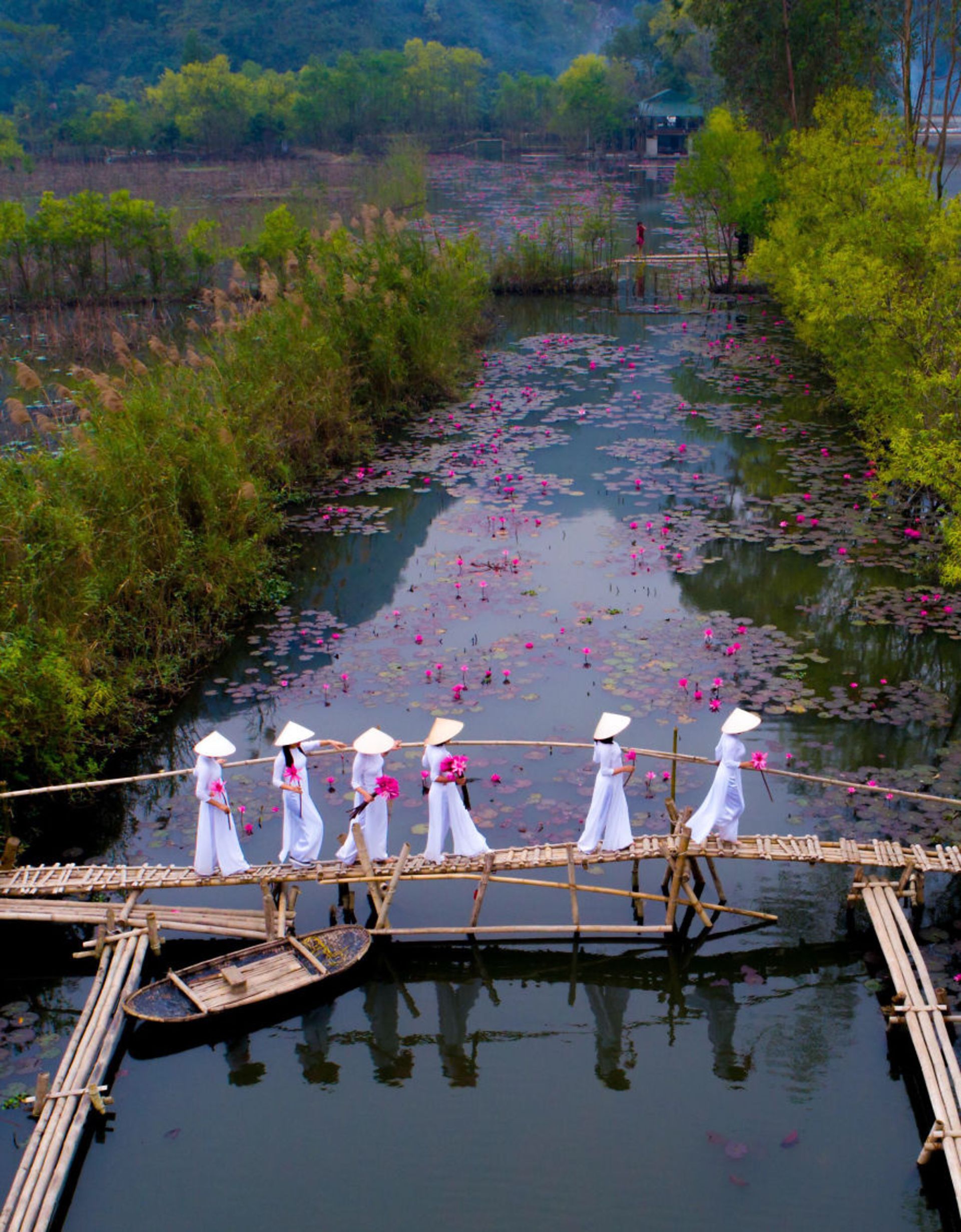  زنان ویتنامی با پیراهن‌های سفید روی پل چوبی با نیلوفر آبی