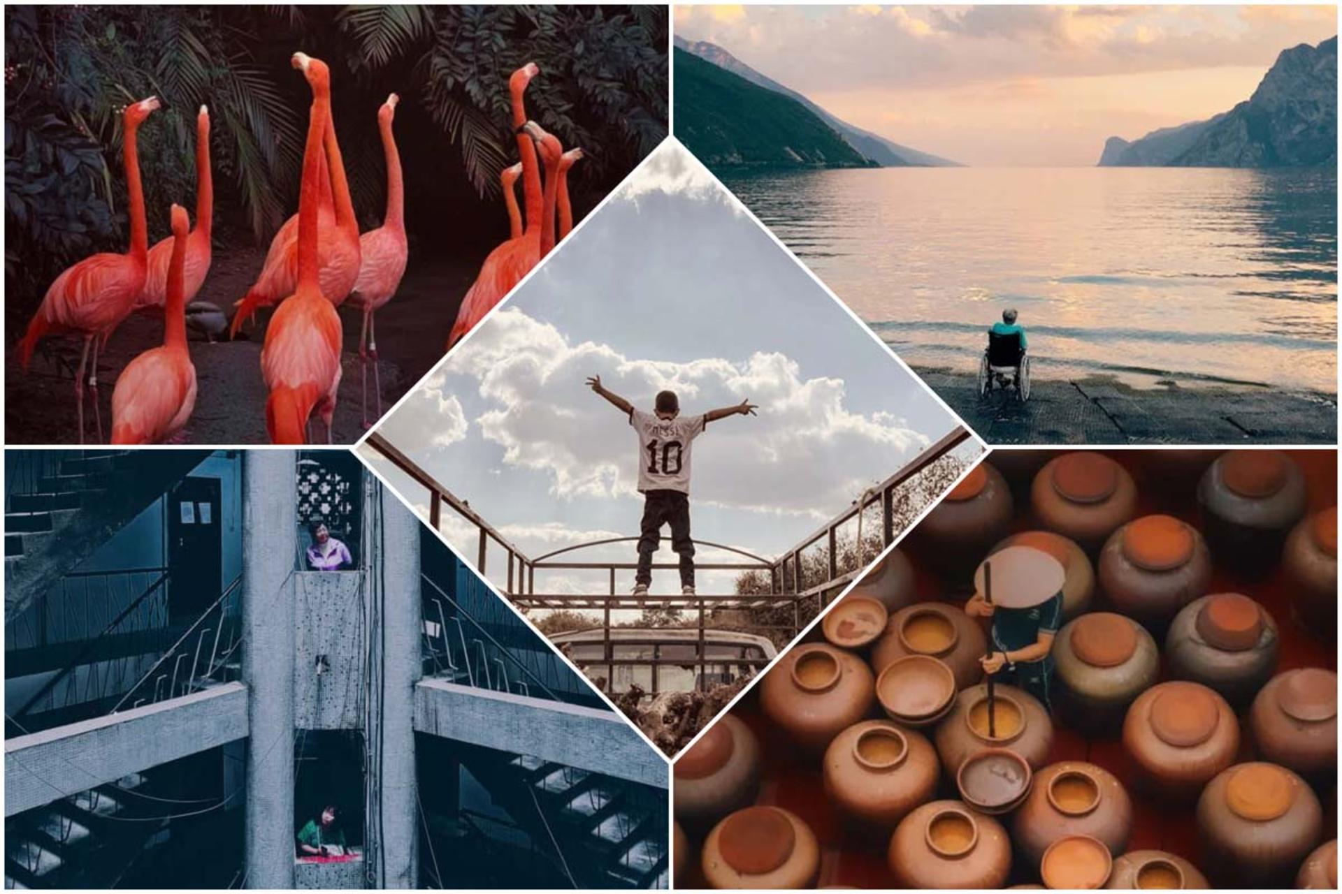 از آیفون ۷ تا آیفون ۱۴، برندگان مسابقه عکاسی آیفون ۲۰۲۳