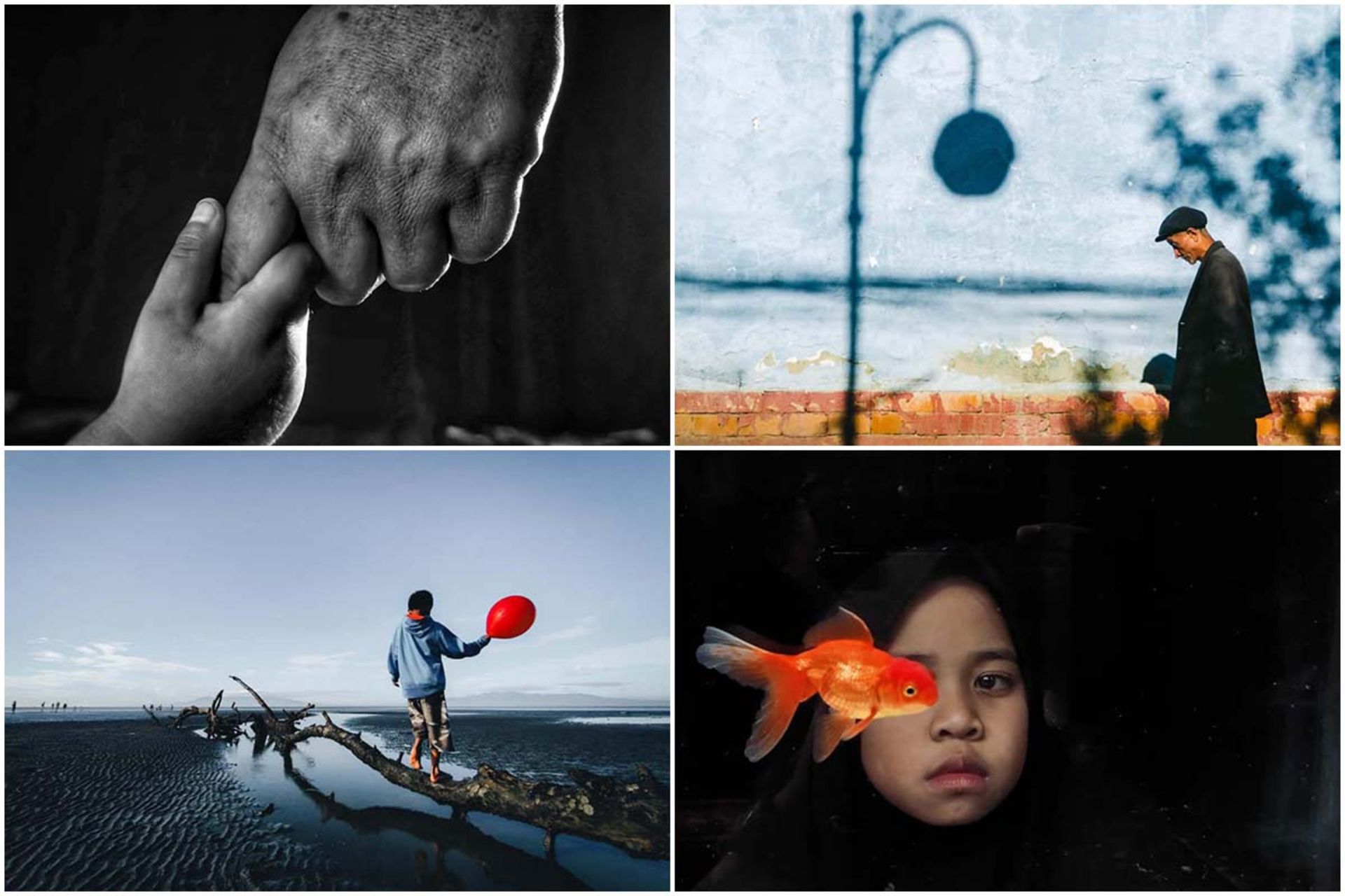 جوایز عکاسی موبایل شیائومی ۲۰۲۴