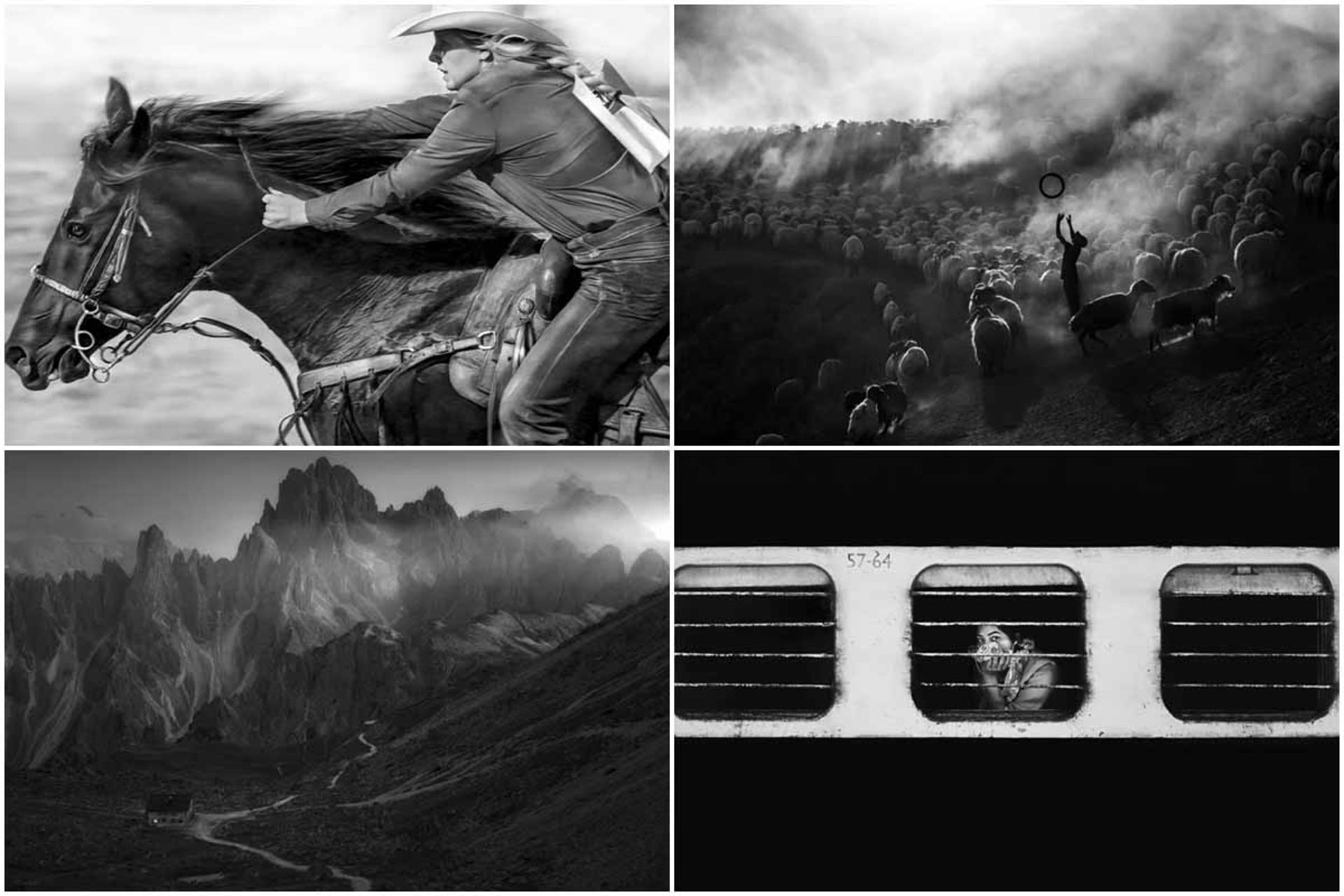 برندگان مسابقه عکاسی سیاه و سفید