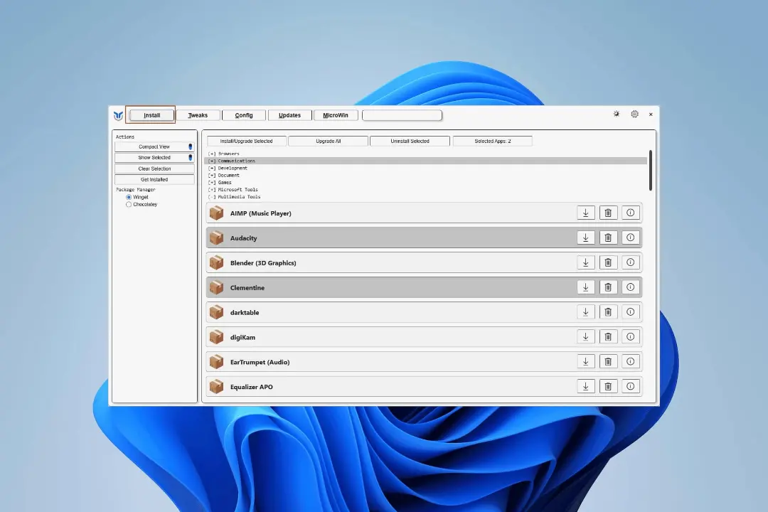 تب Install در ابزار Winutil