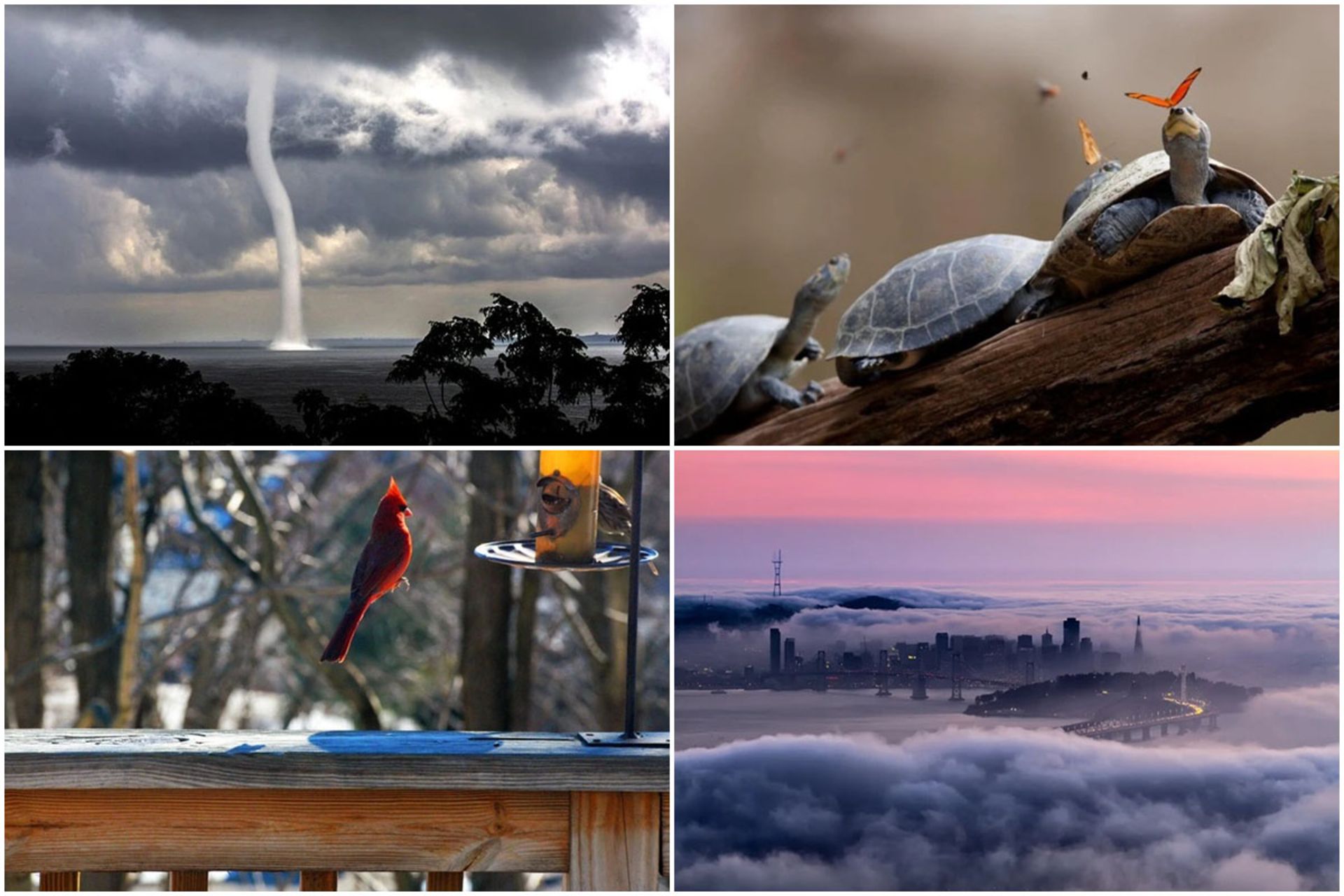 عکس‌های باورنکردنی بدون فتوشاپ