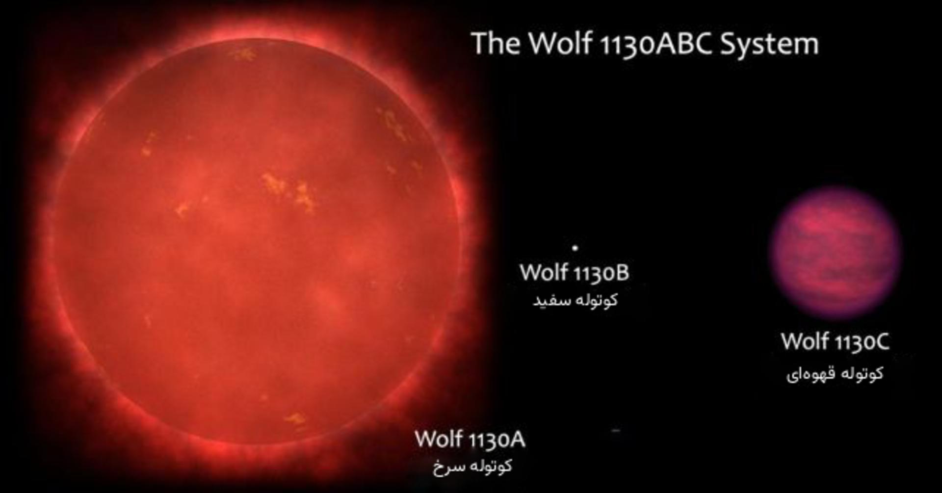 نموداری از اندازه‌ی اجرام در منظومه‌ی سه‌ستاره‌ای Wolf 1130.