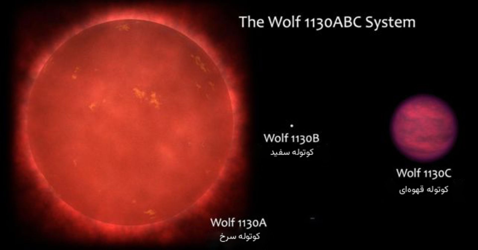 نموداری از اندازه‌ی اجرام در منظومه‌ی سه‌ستاره‌ای Wolf 1130.