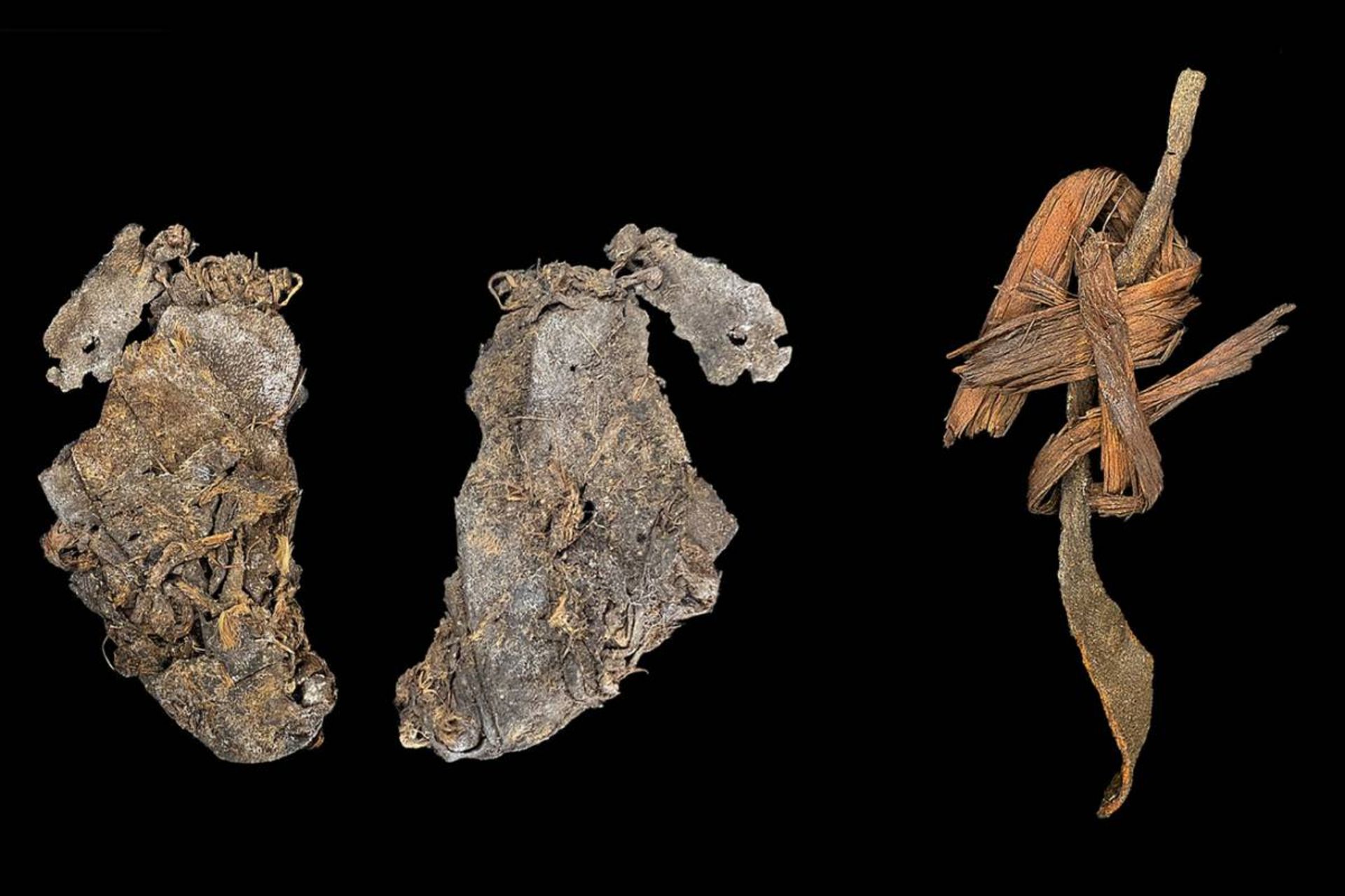 قطعات ۱۲ هزار ساله از پوست حیوانات کشف شده در اورگن آمریکا در پس زمینه مشکی