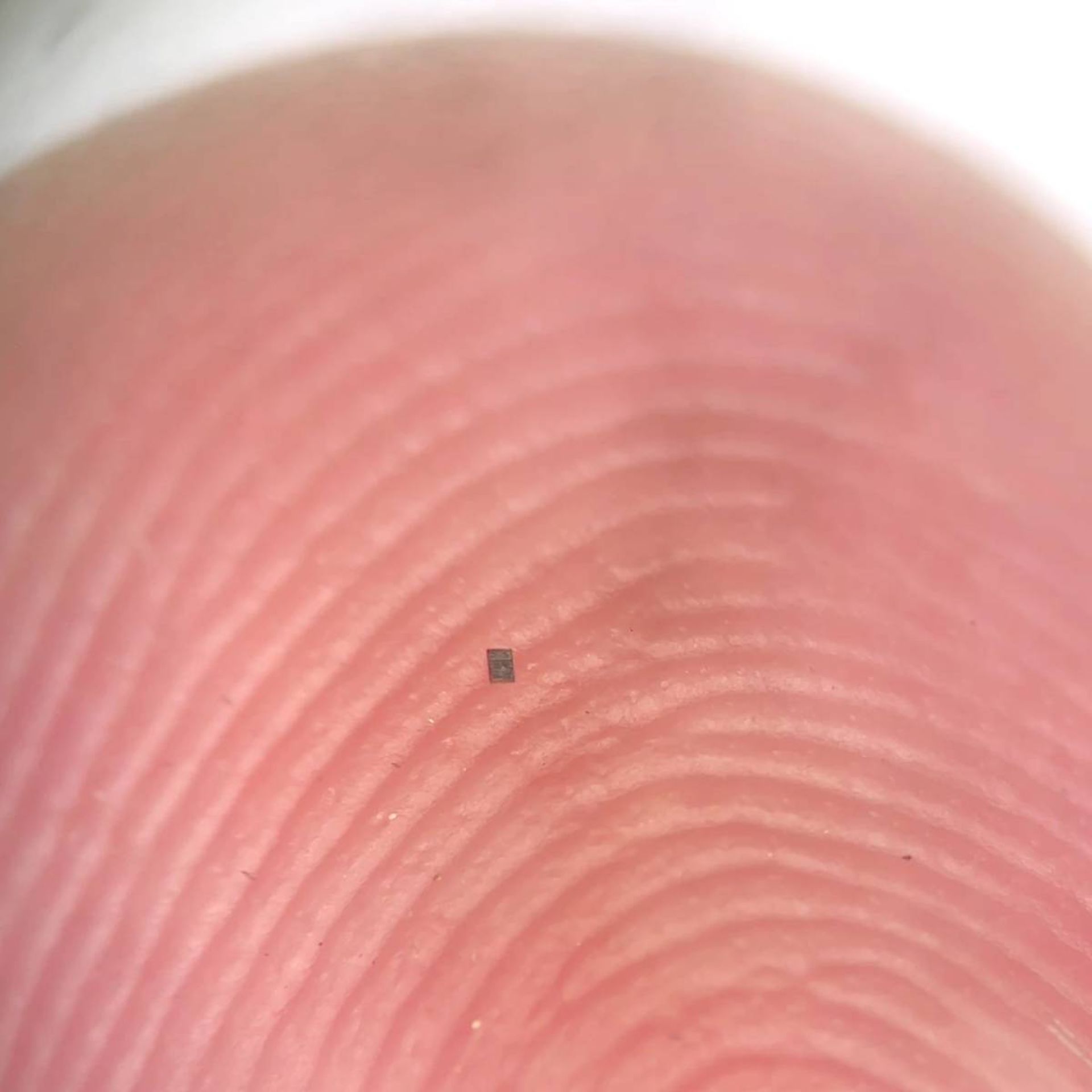 میکروربات، کاملاً مجهز به حسگرها و یک کامپیوتر، به اندازه‌ای کوچک که بتواند روی برآمدگی اثر انگشت تعادل خود را حفظ کند.