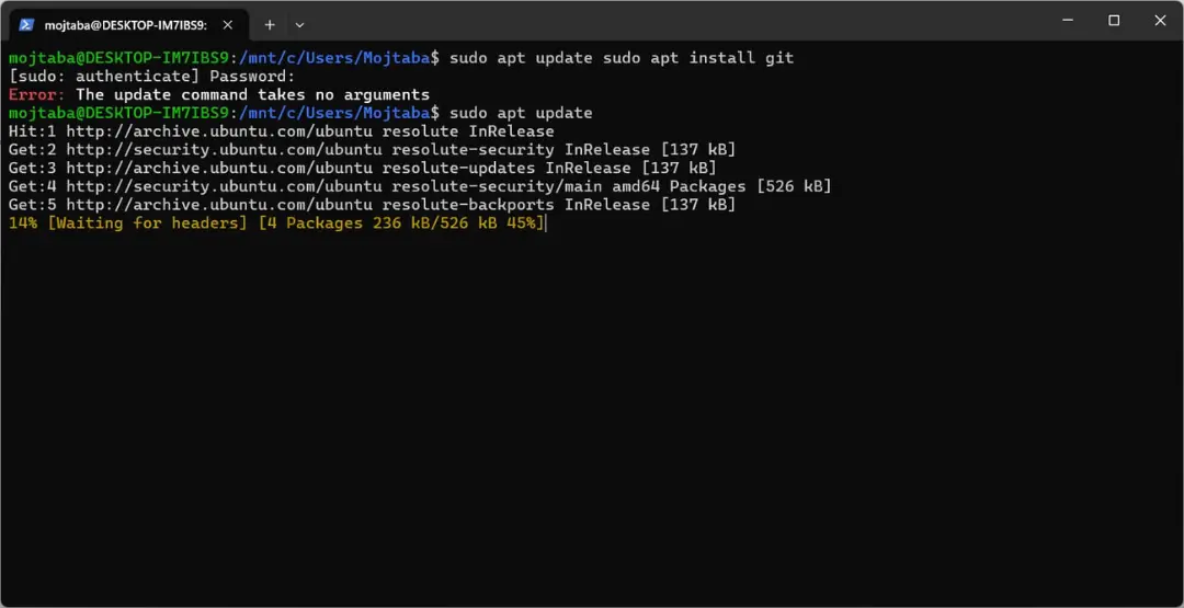 ترمینال لینوکس در محیط WSL ویندوز هنگام اجرای دستور apt update