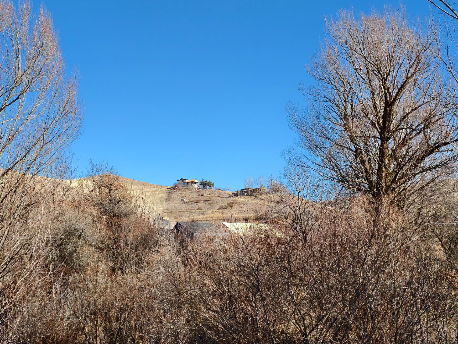 نمایی از تپه