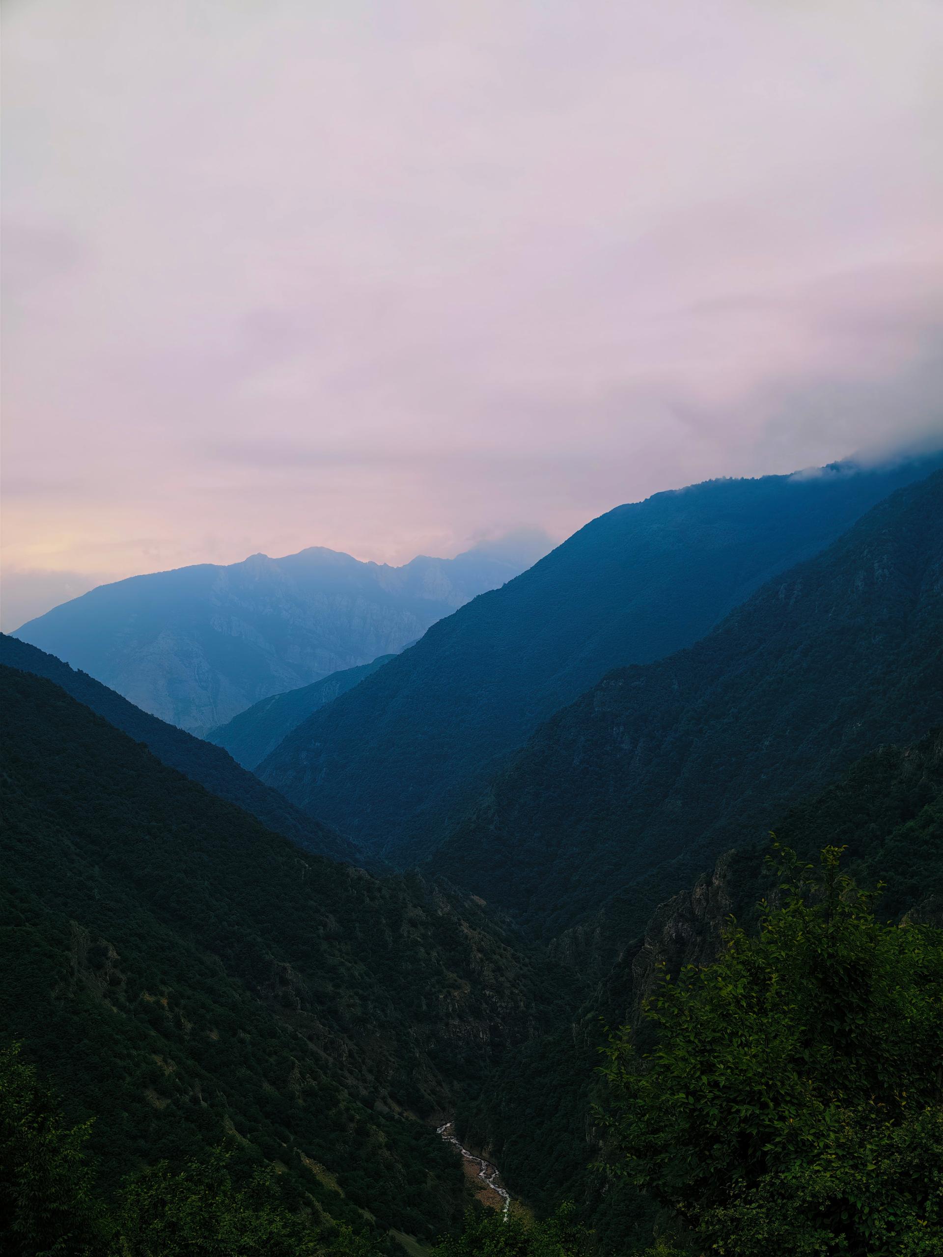 کوه های پر درخت