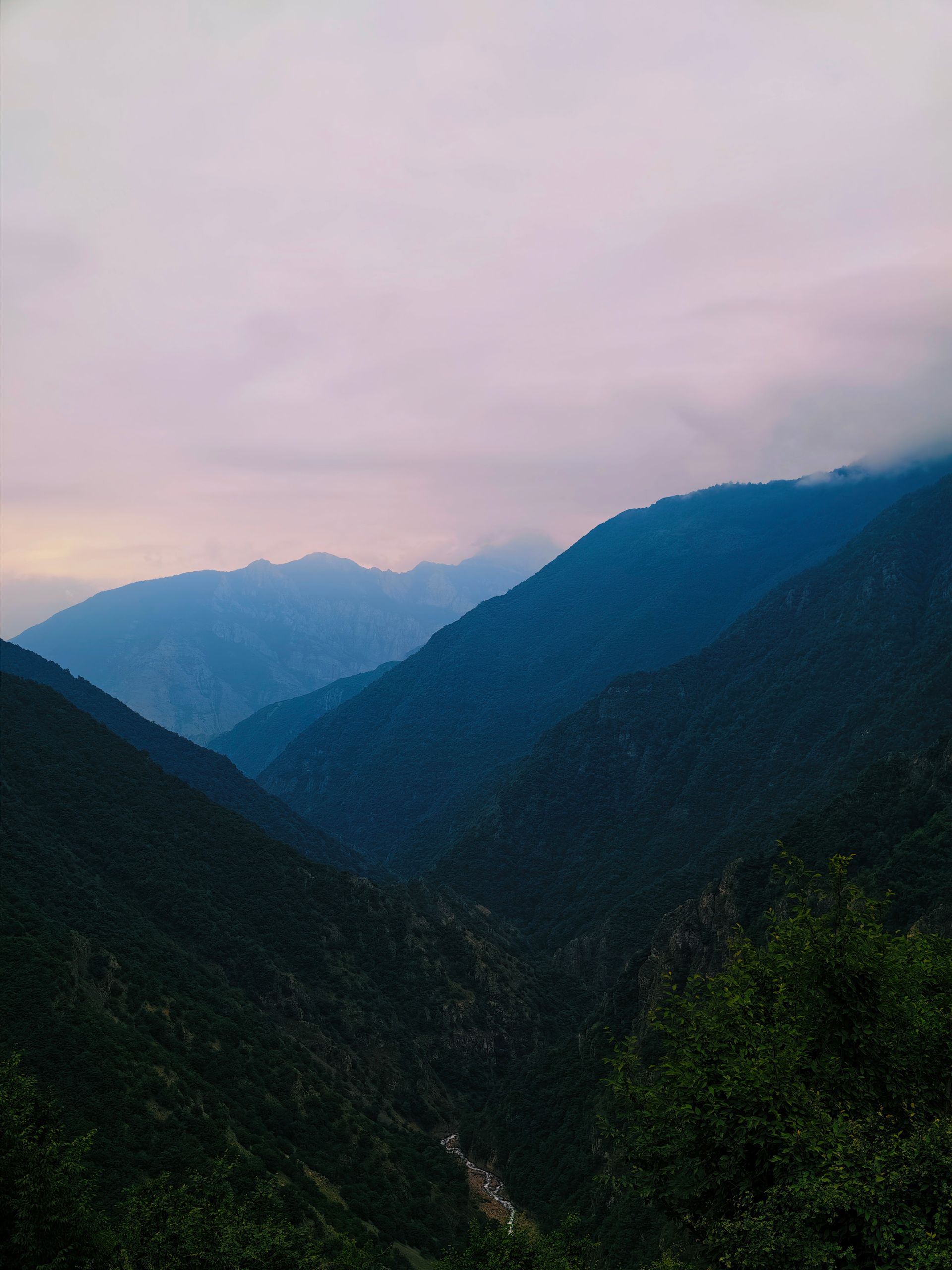 کوه های پر درخت