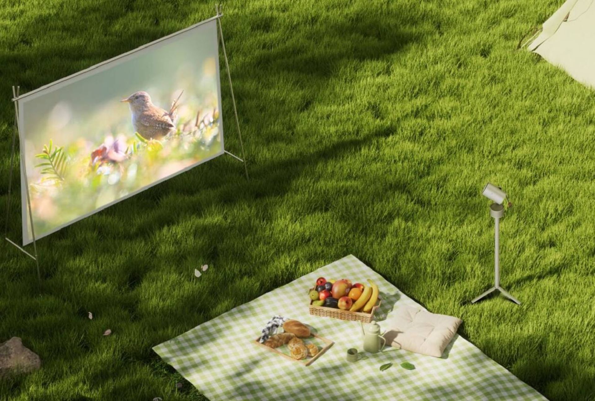 نمایشگر قابل‌حمل XGIMI روی چمن