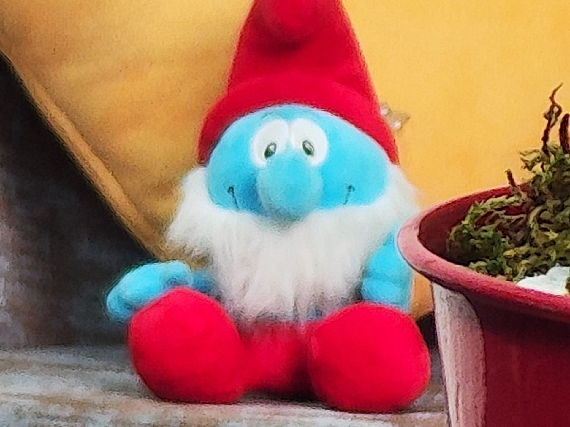 برش ۱۰۰ درصدی عکس ۲۰۰ مگاپیکسلی شیائومی 12T پرو