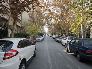 Banyan alley in Jordan