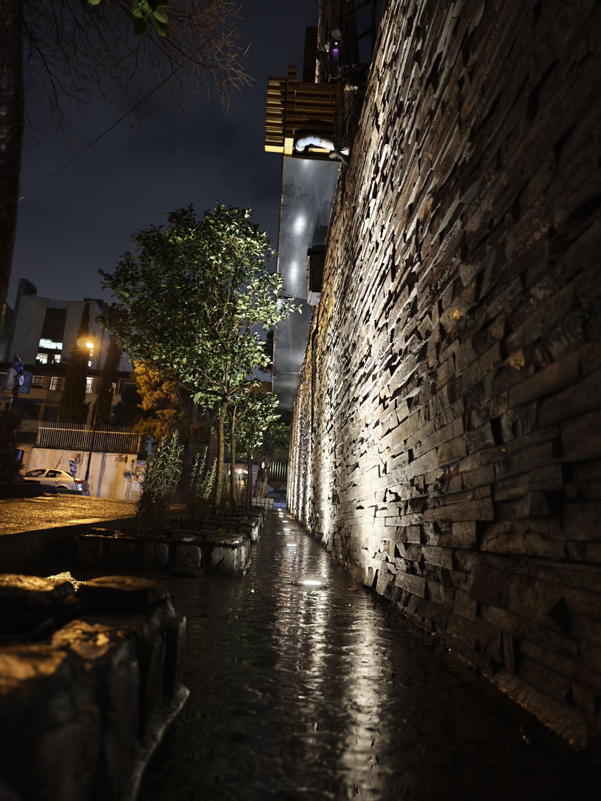 پیاده‌رو کوی لیلی ونک در شب بارانی
