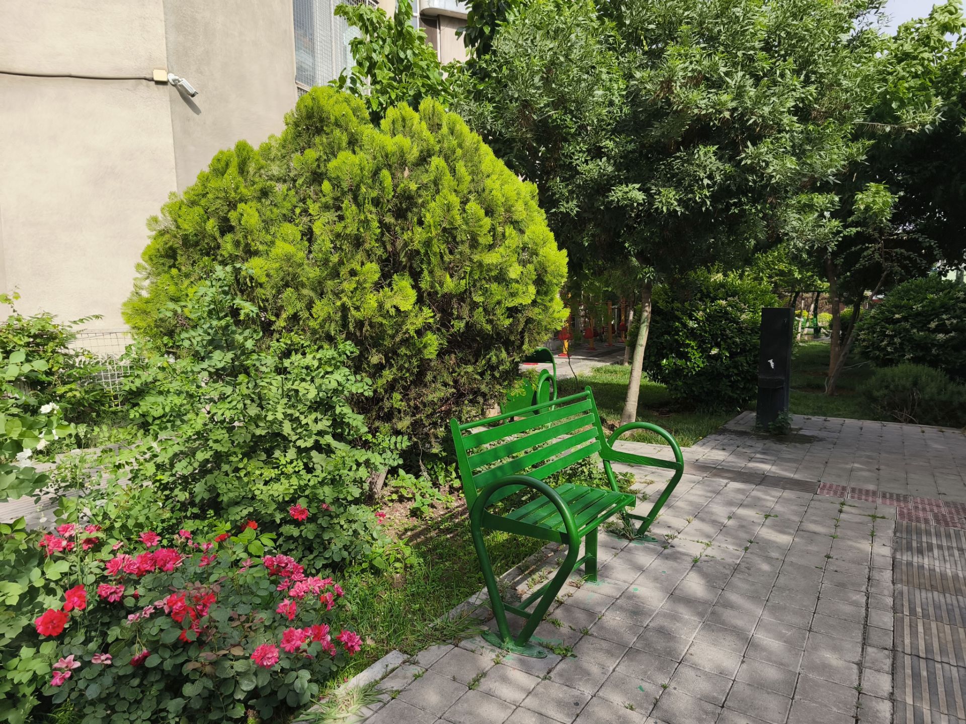 نیمکت سبز درون پارک