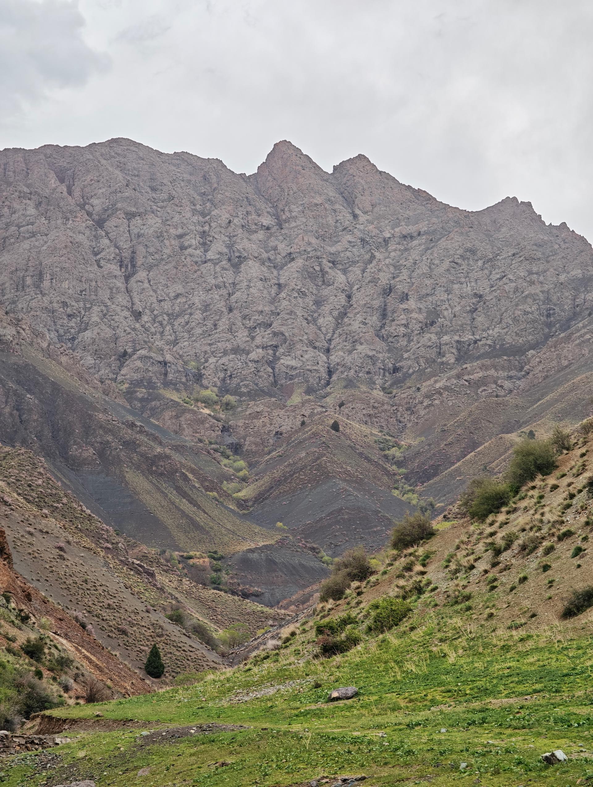 کوهستان ابری