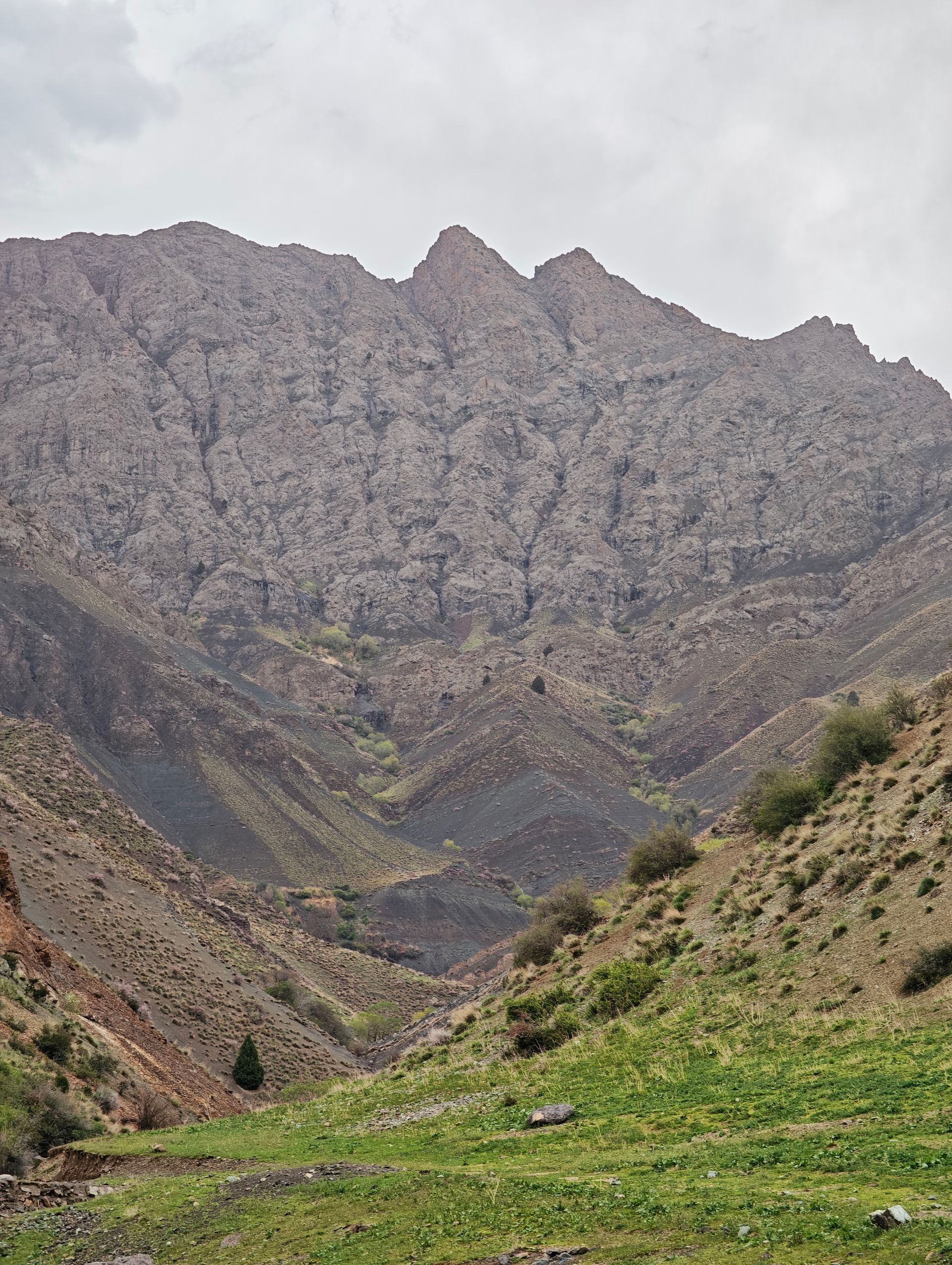 کوهستان ابری