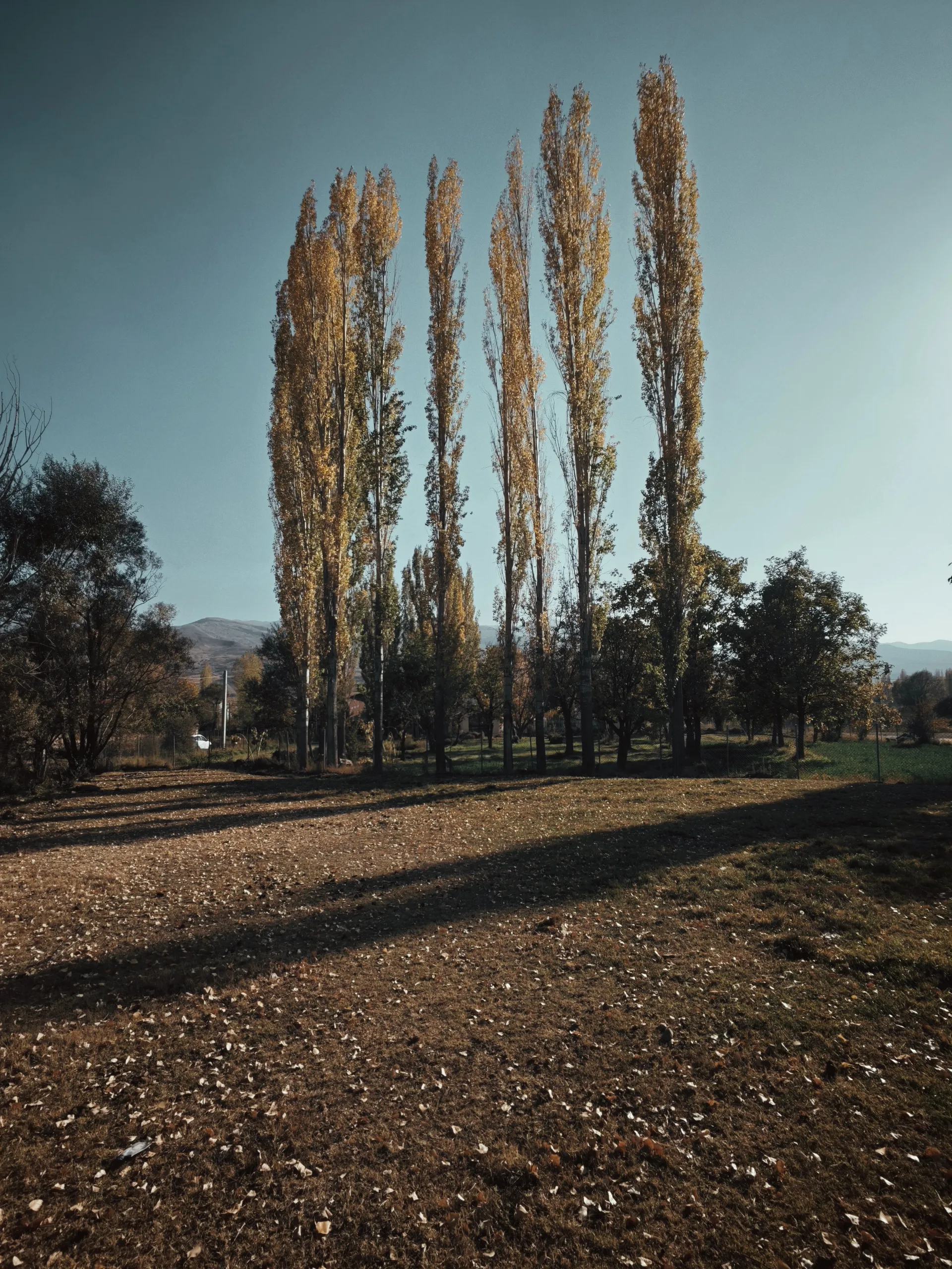 نمونه عکس گرفته شده با دوربین شیائومی ۱۷ پرو مکس