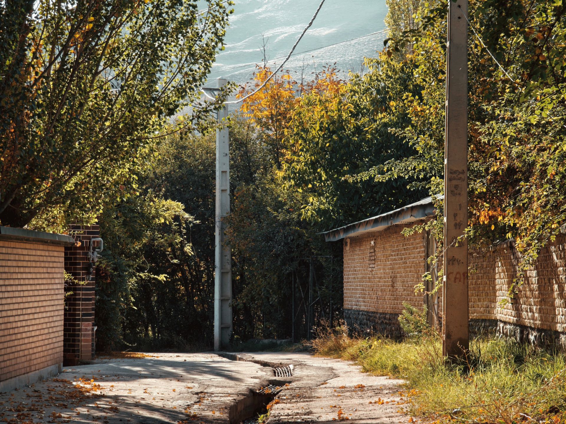 کوچه پاییزی