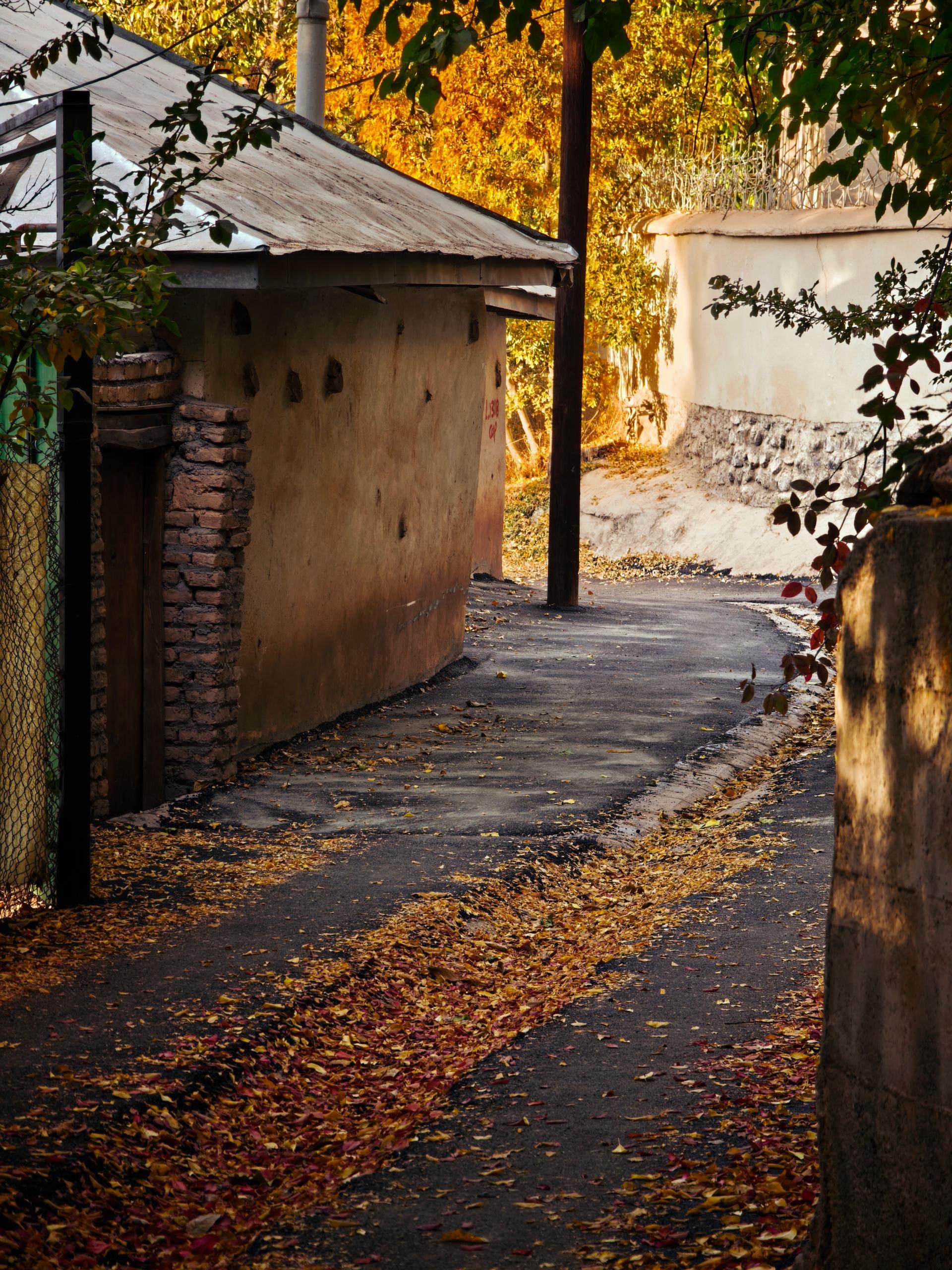 کوچه پر برگ