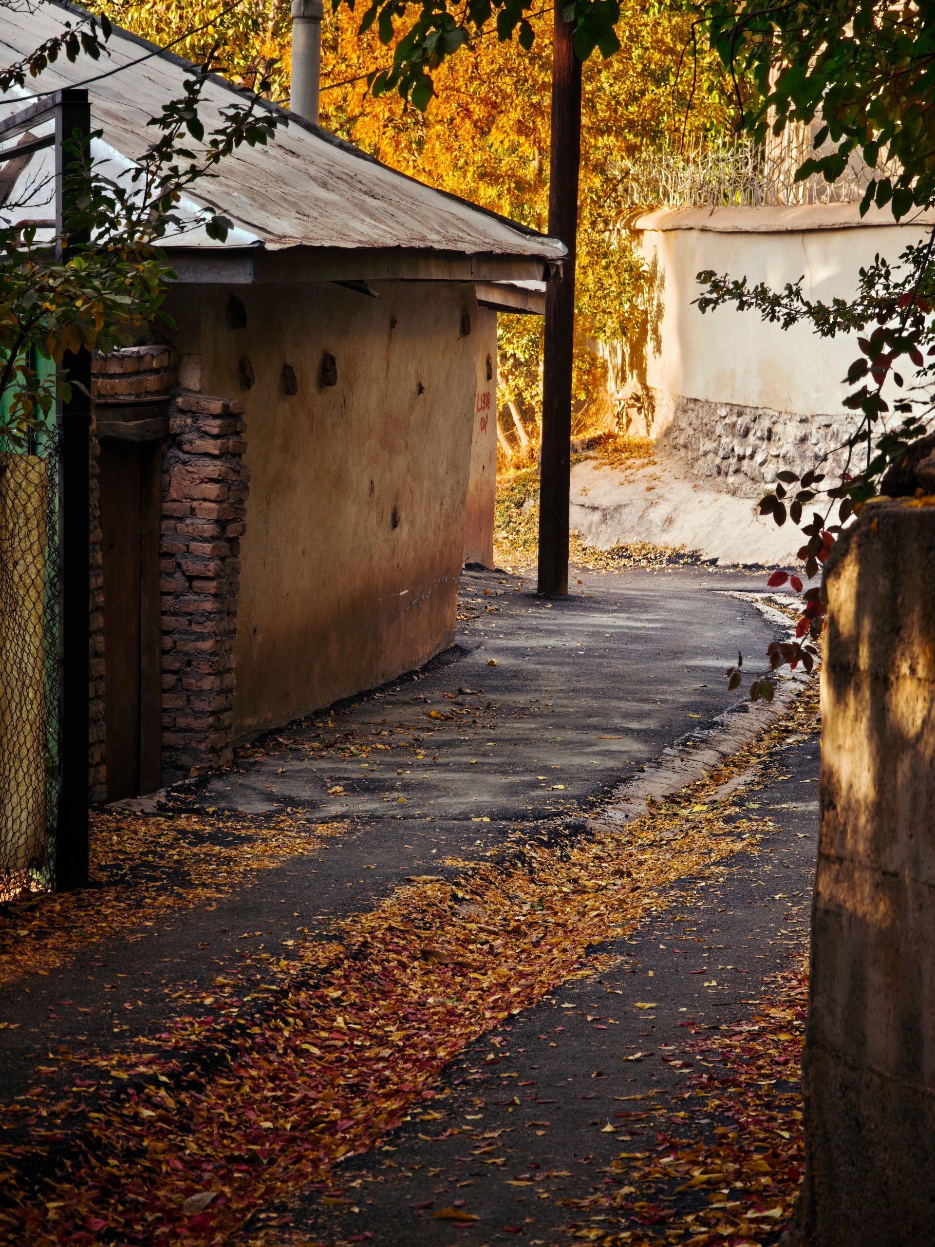 کوچه پر برگ