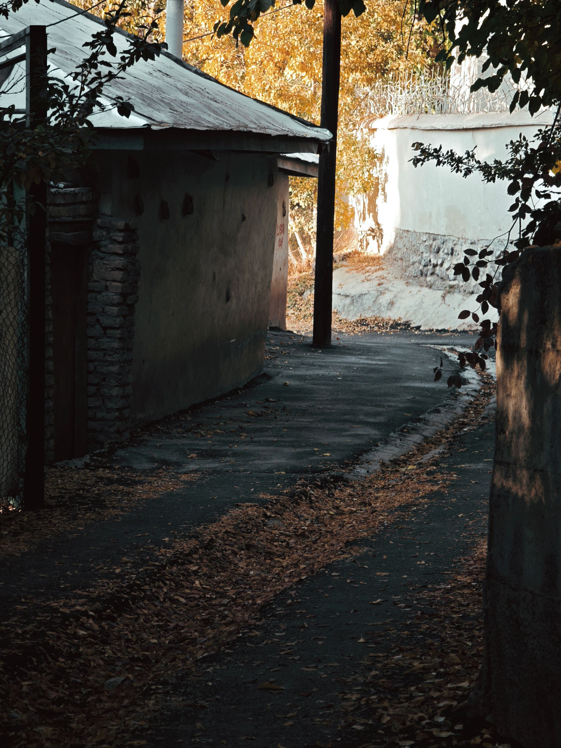 کوچه پر برگ