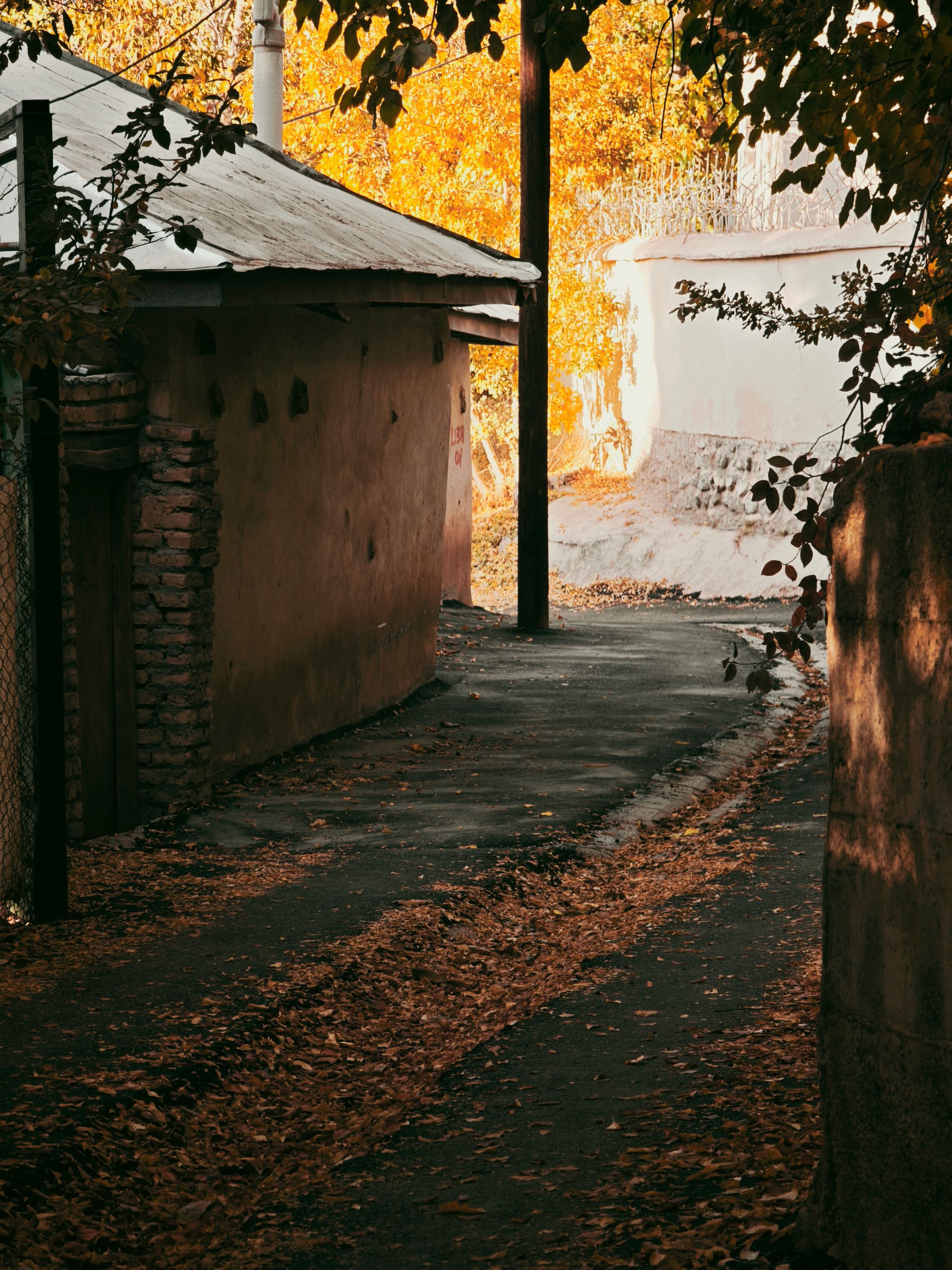 کوچه پر برگ