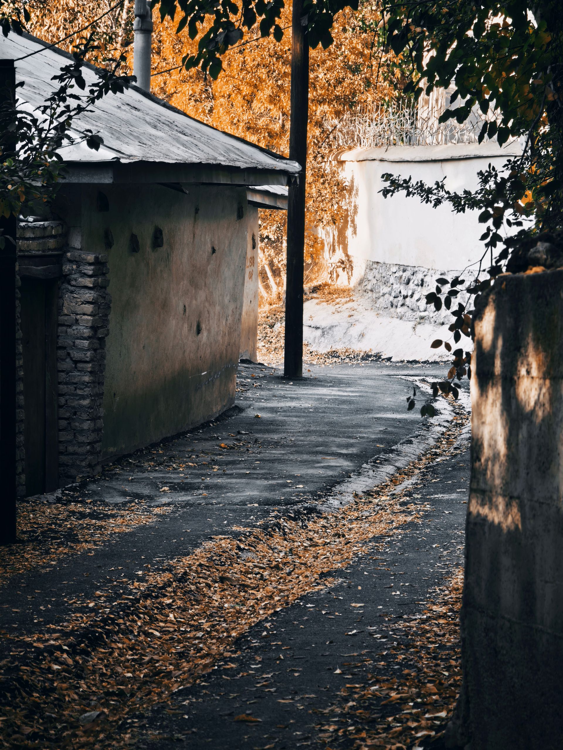 کوچه پر برگ