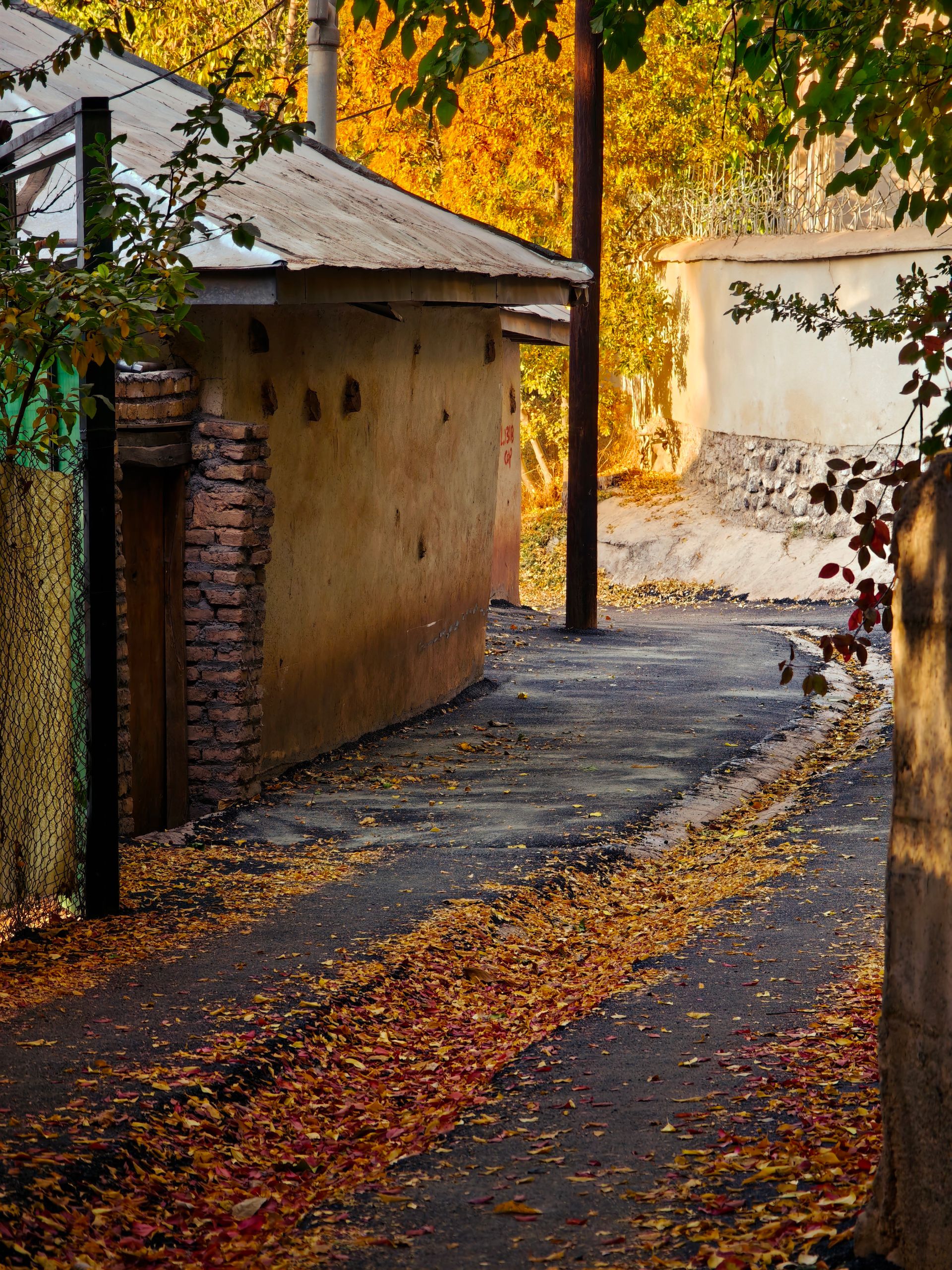 کوچه پر برگ