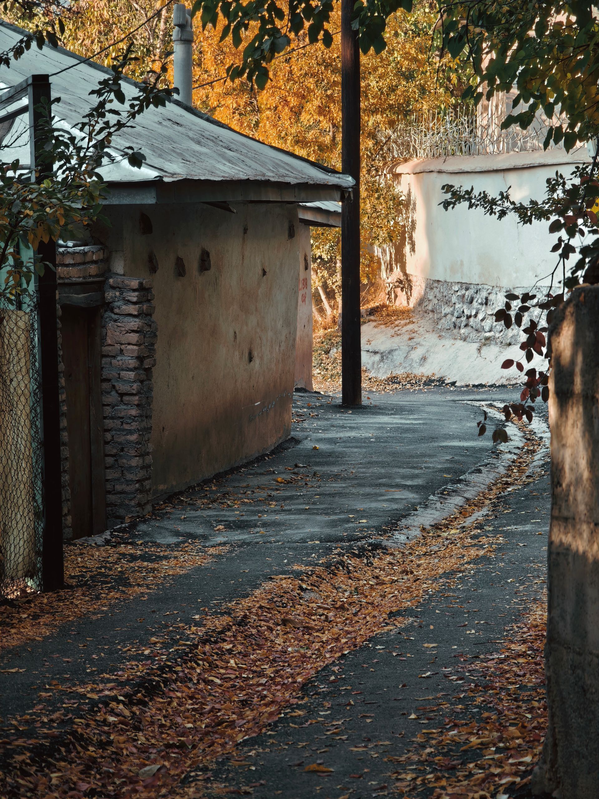 کوچه پر برگ