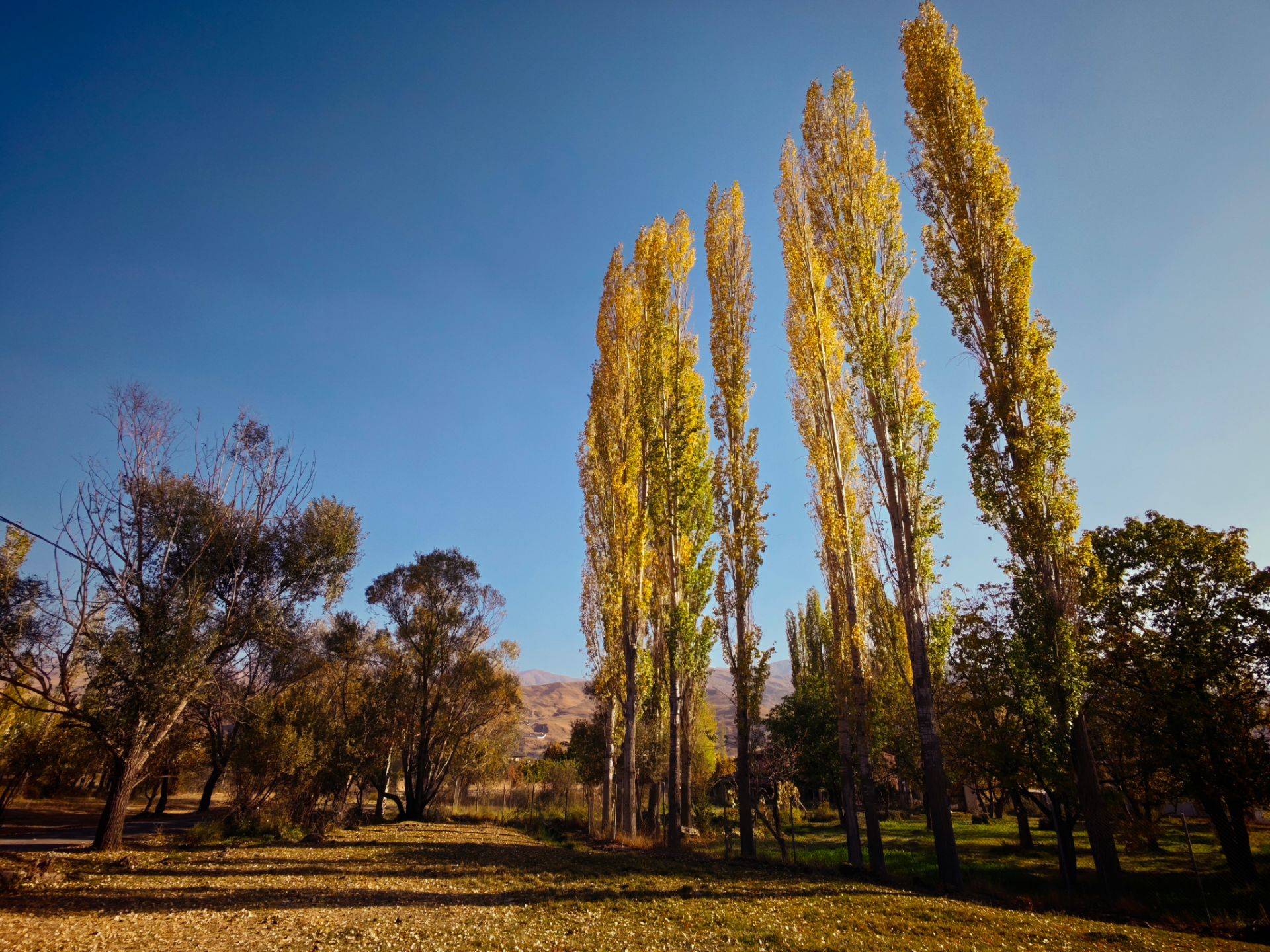 طبیعت پاییز