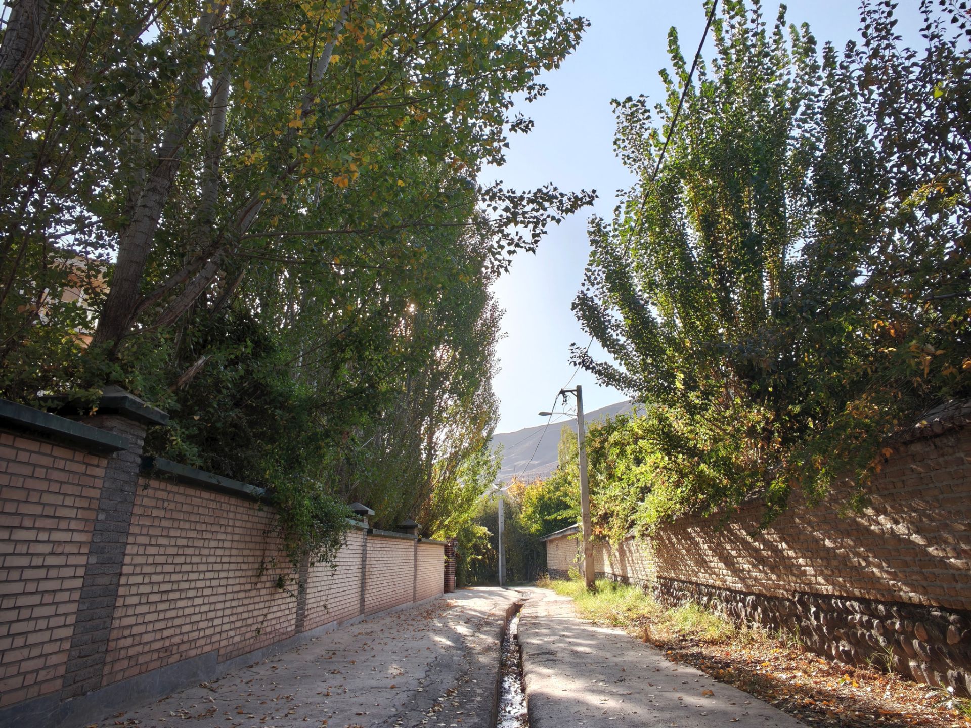 کوچه در پاییز