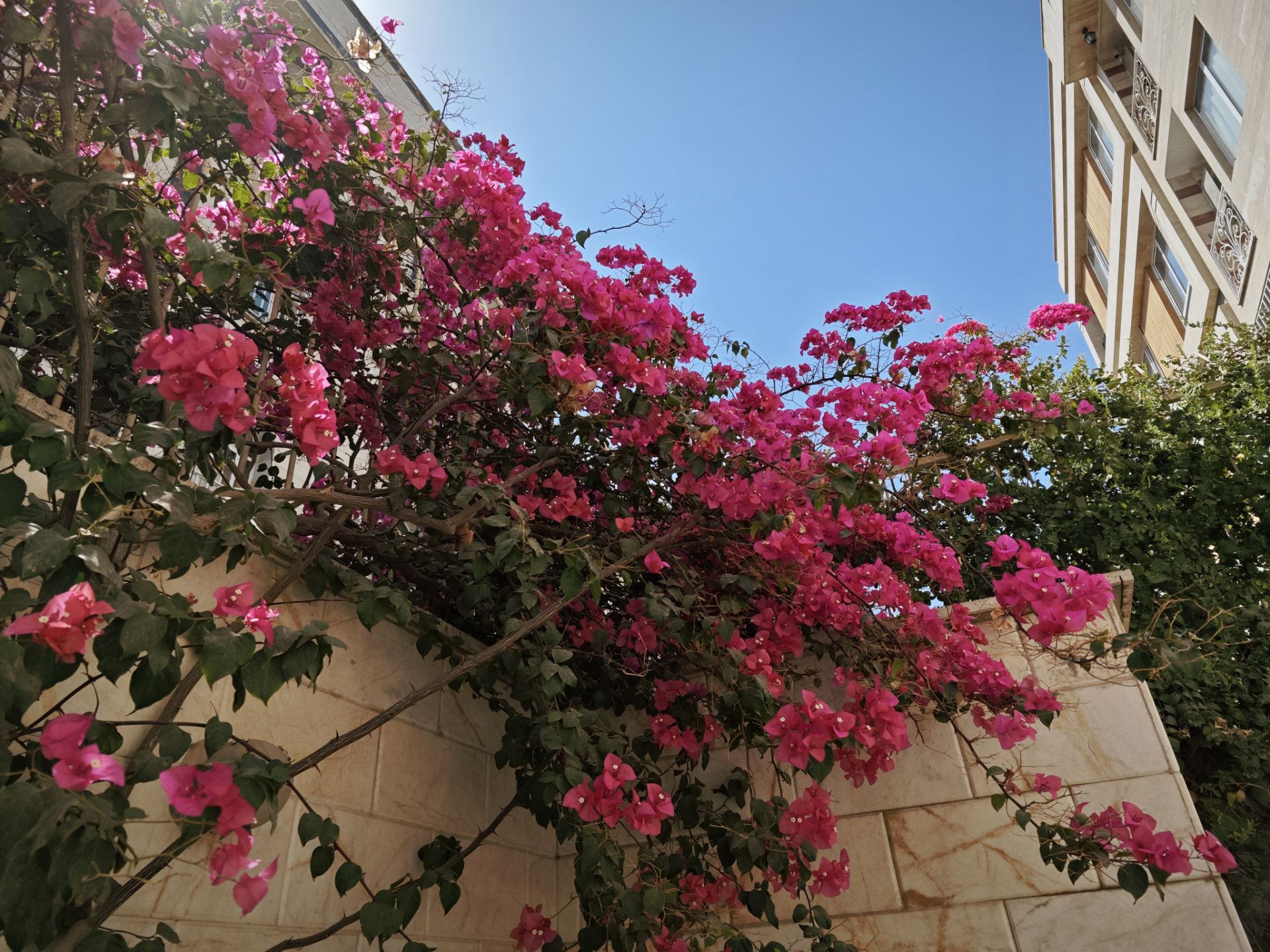 نمونه عکس میکس فولد ۳ شیائومی در روز - عکس نهم