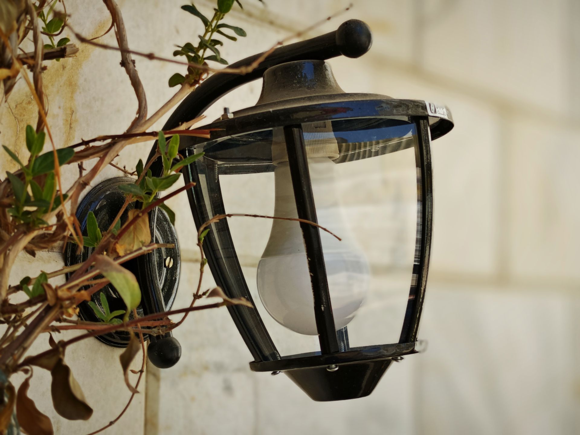 نمونه عکس میکس فولد ۳ شیائومی در روز - عکس دهم