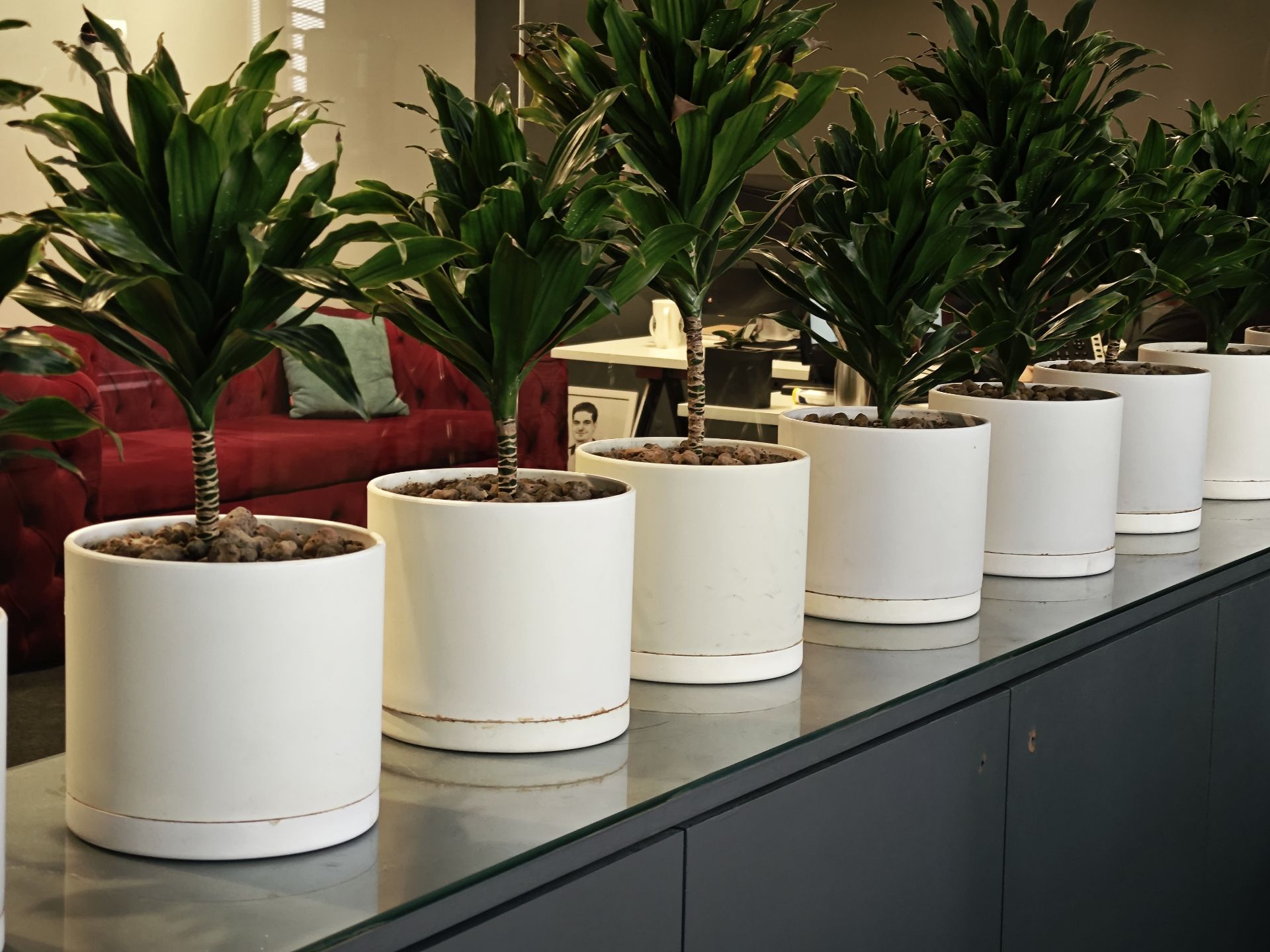 نمونه عکس میکس فولد ۳ شیائومی در روز - عکس هجدهم