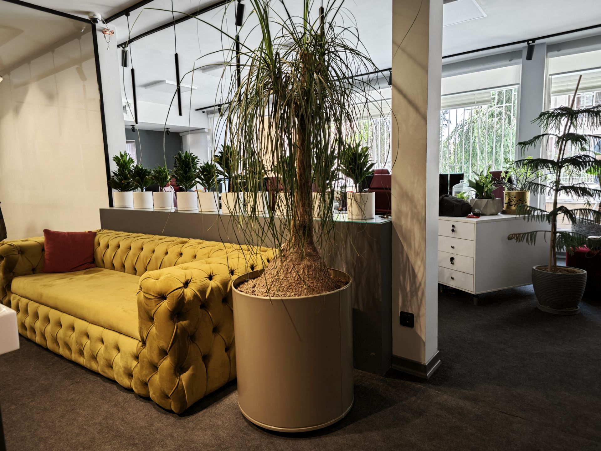 نمونه عکس میکس فولد ۳ شیائومی در روز - عکس نوزدهم