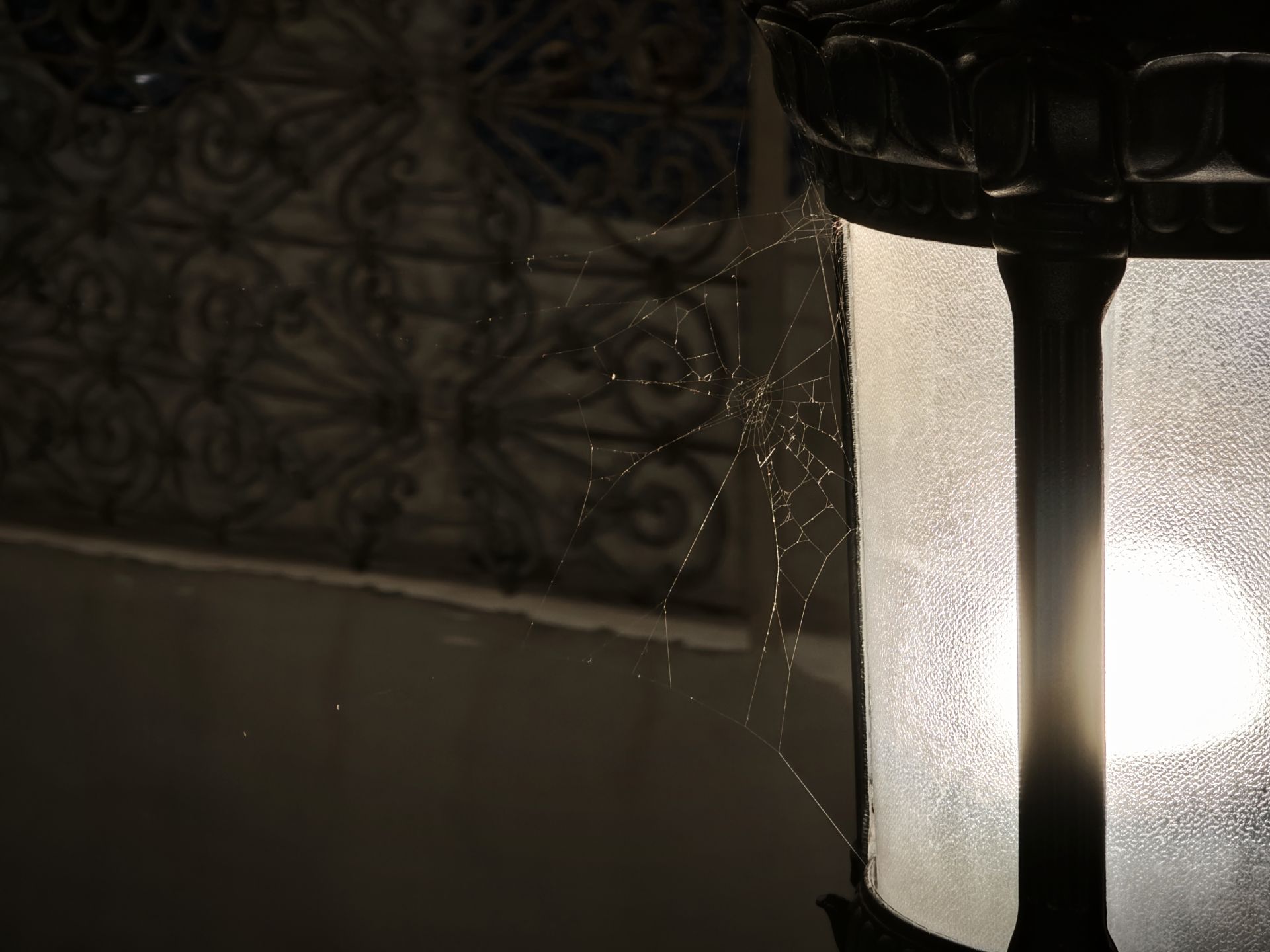 نمونه عکس میکس فولد ۳ شیائومی در نور کم عکس ششم