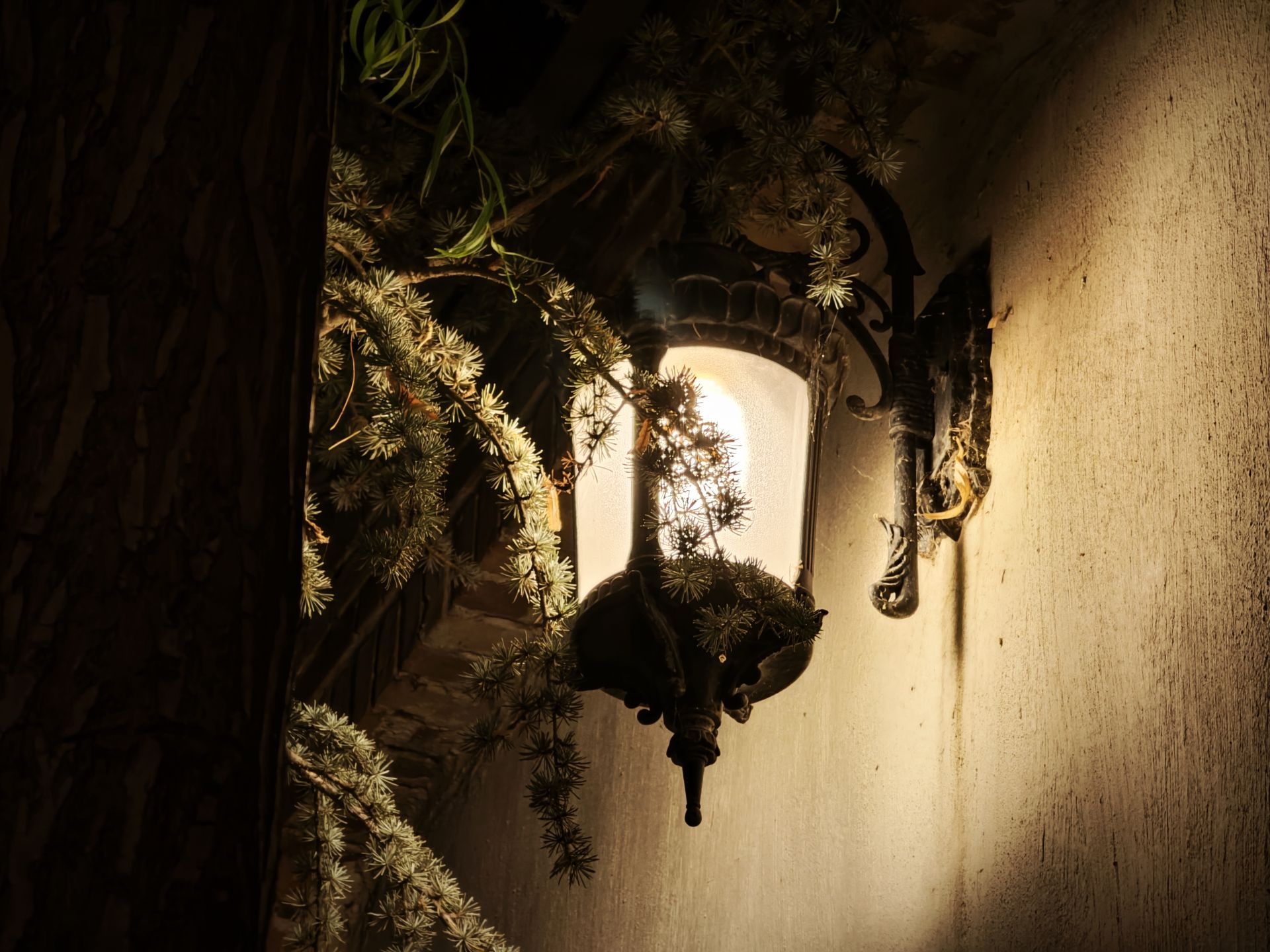 نمونه عکس میکس فولد ۳ شیائومی در نور کم عکس دوازدهم