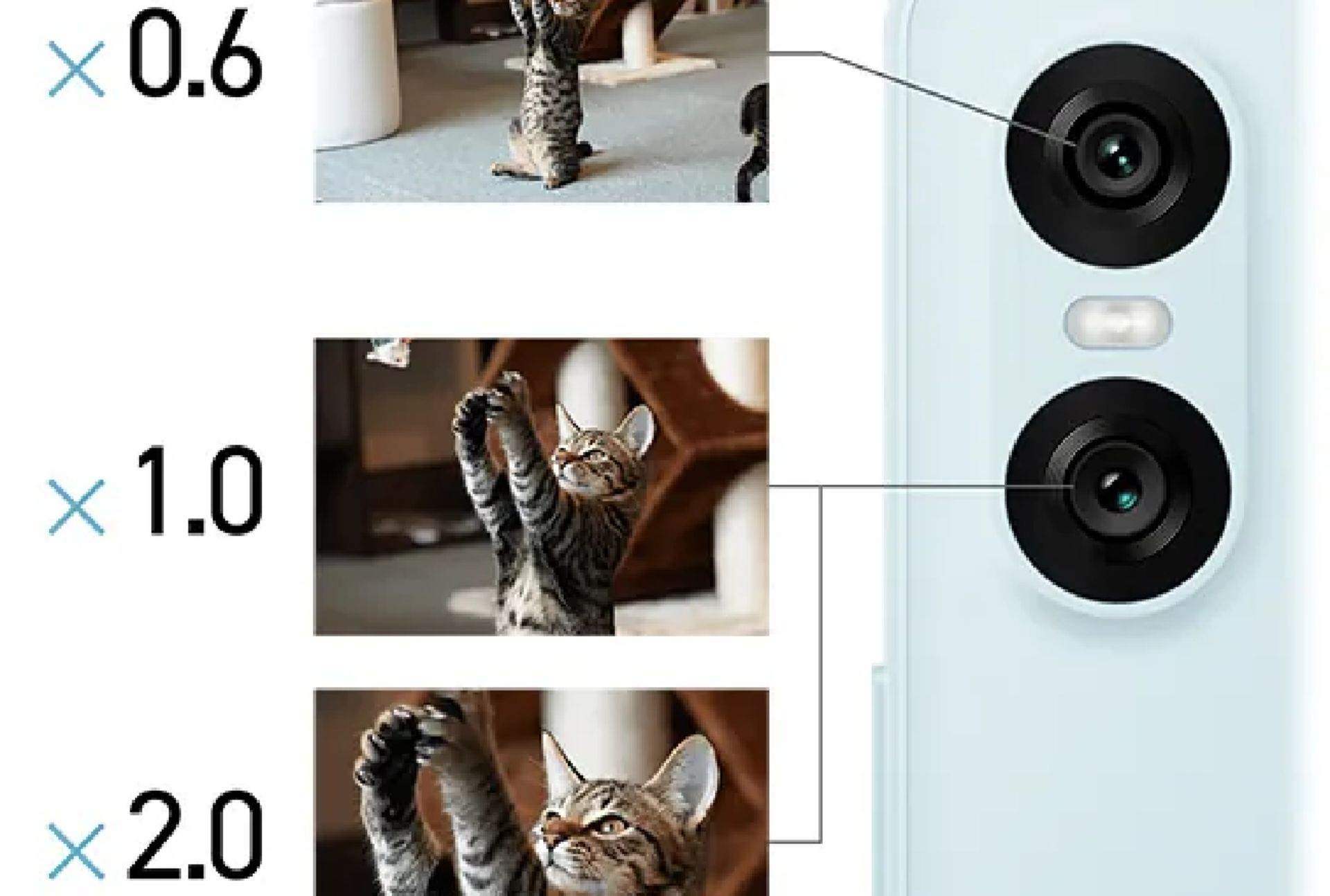 زوم گوشی Xperia 10 VI روی تصویر یک گربه