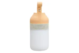 ابعاد و اندازه اسپیکر وایسون WS-3