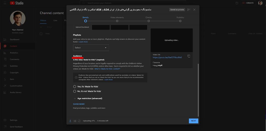 قسمت Audience یوتیوب صفحه تنظیمات