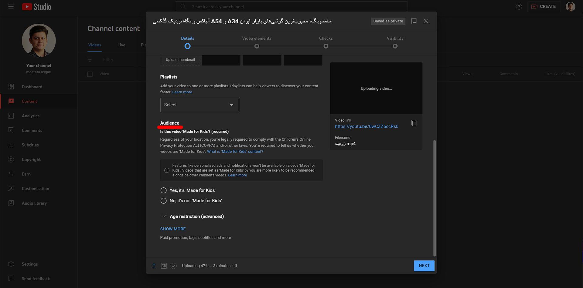 قسمت Audience یوتیوب صفحه تنظیمات