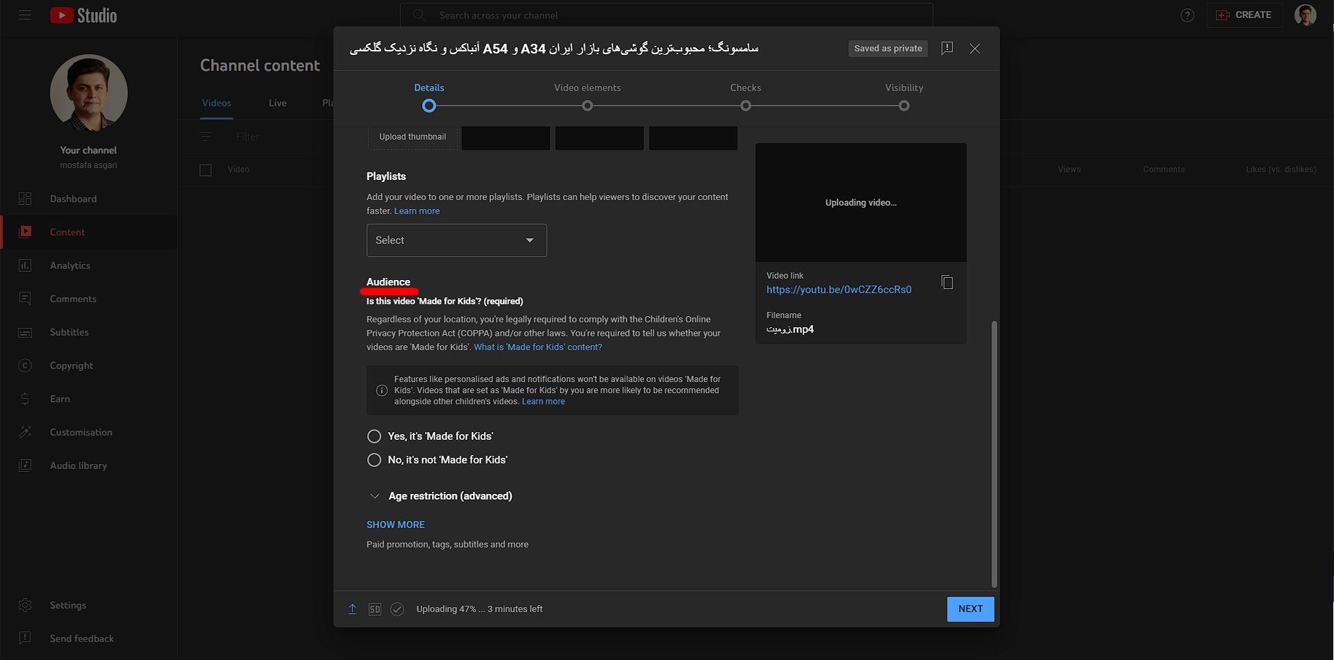 قسمت Audience یوتیوب صفحه تنظیمات