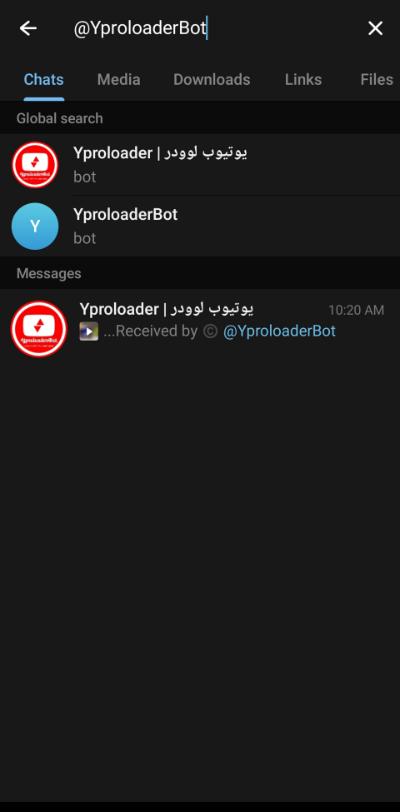 YouTube search page and find the Youtube Loader bot